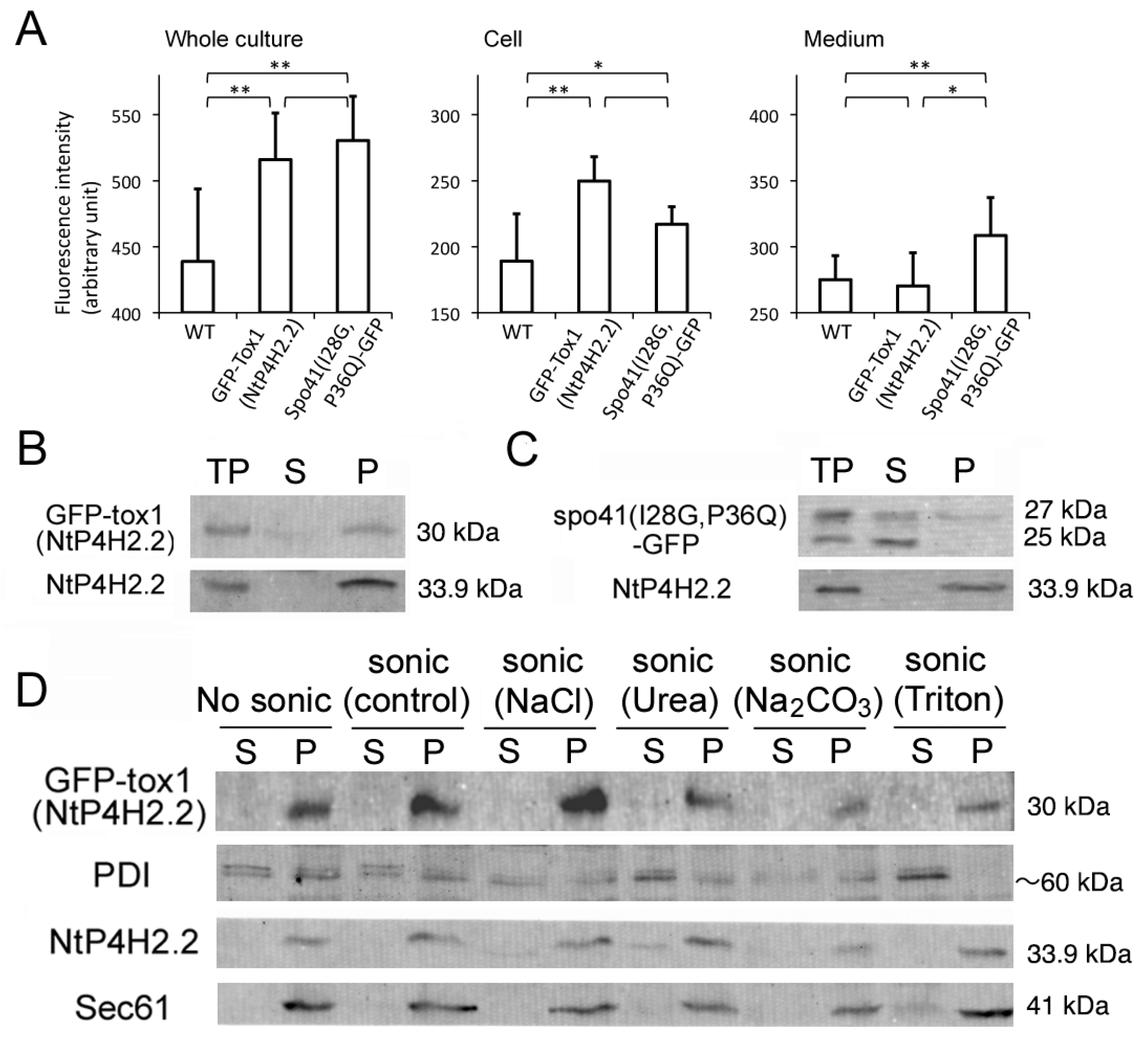 Cells 13 01170 g006 Cells 13 01170 g006