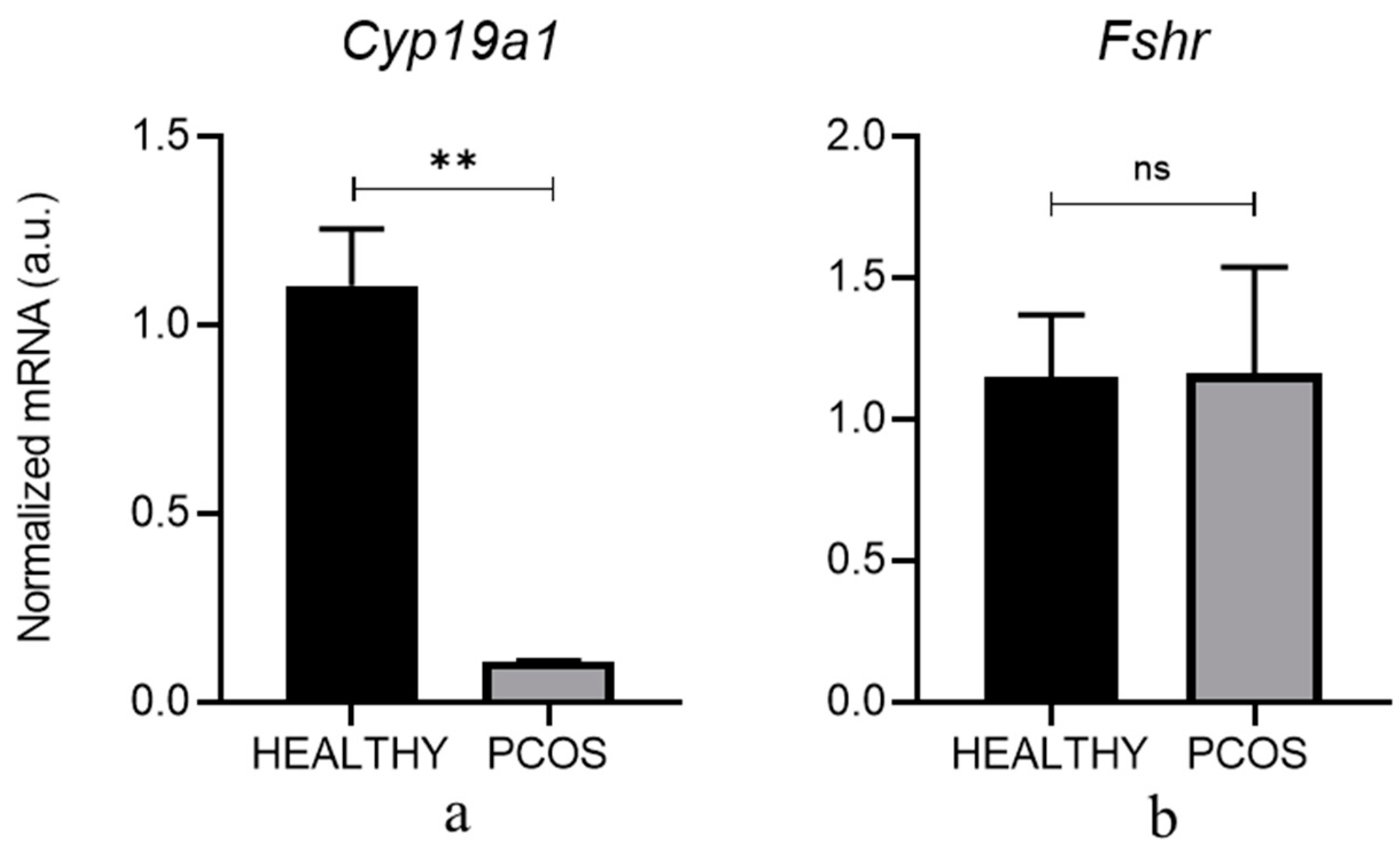 Cells 13 01171 g003 Cells 13 01171 g003
