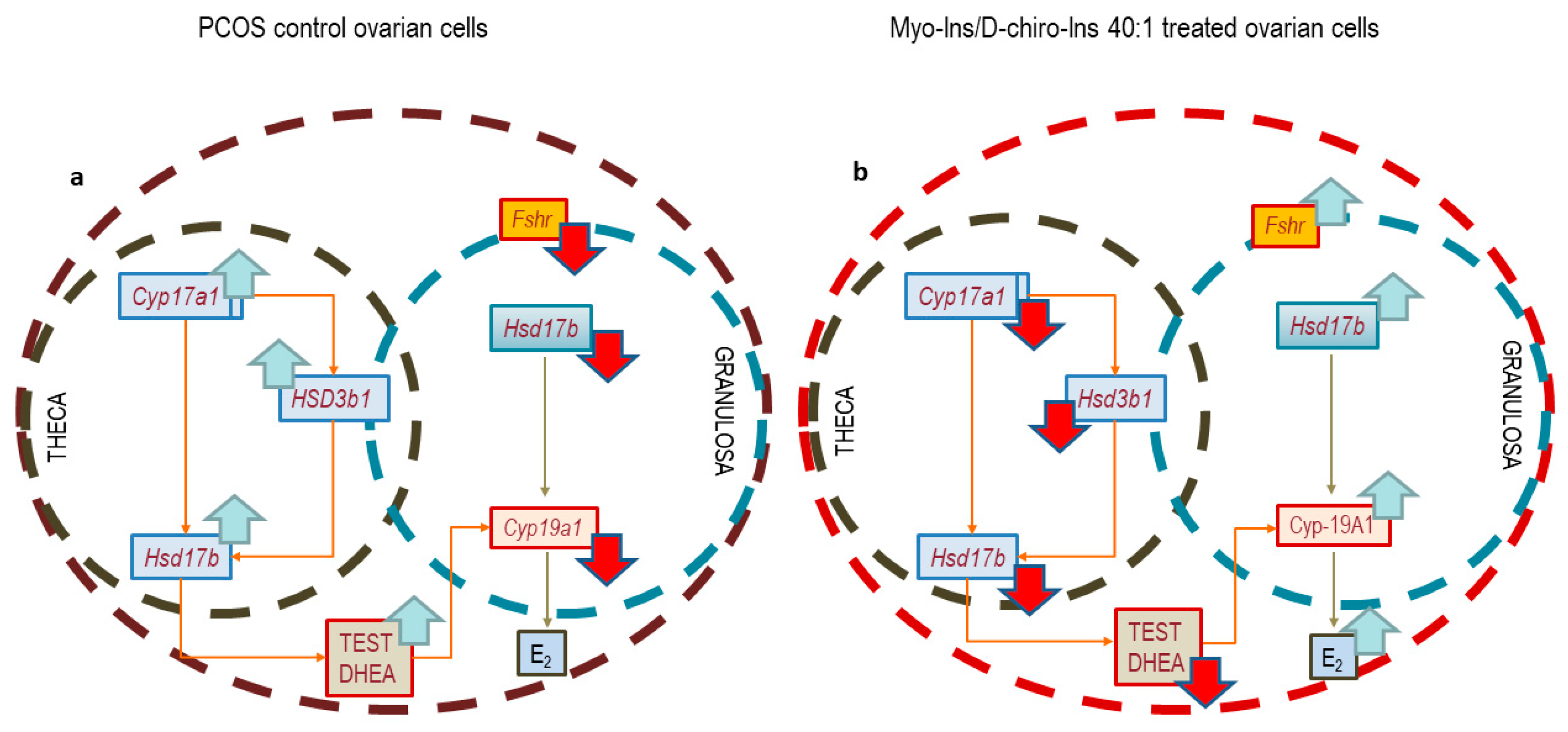Cells 13 01171 g011 Cells 13 01171 g011