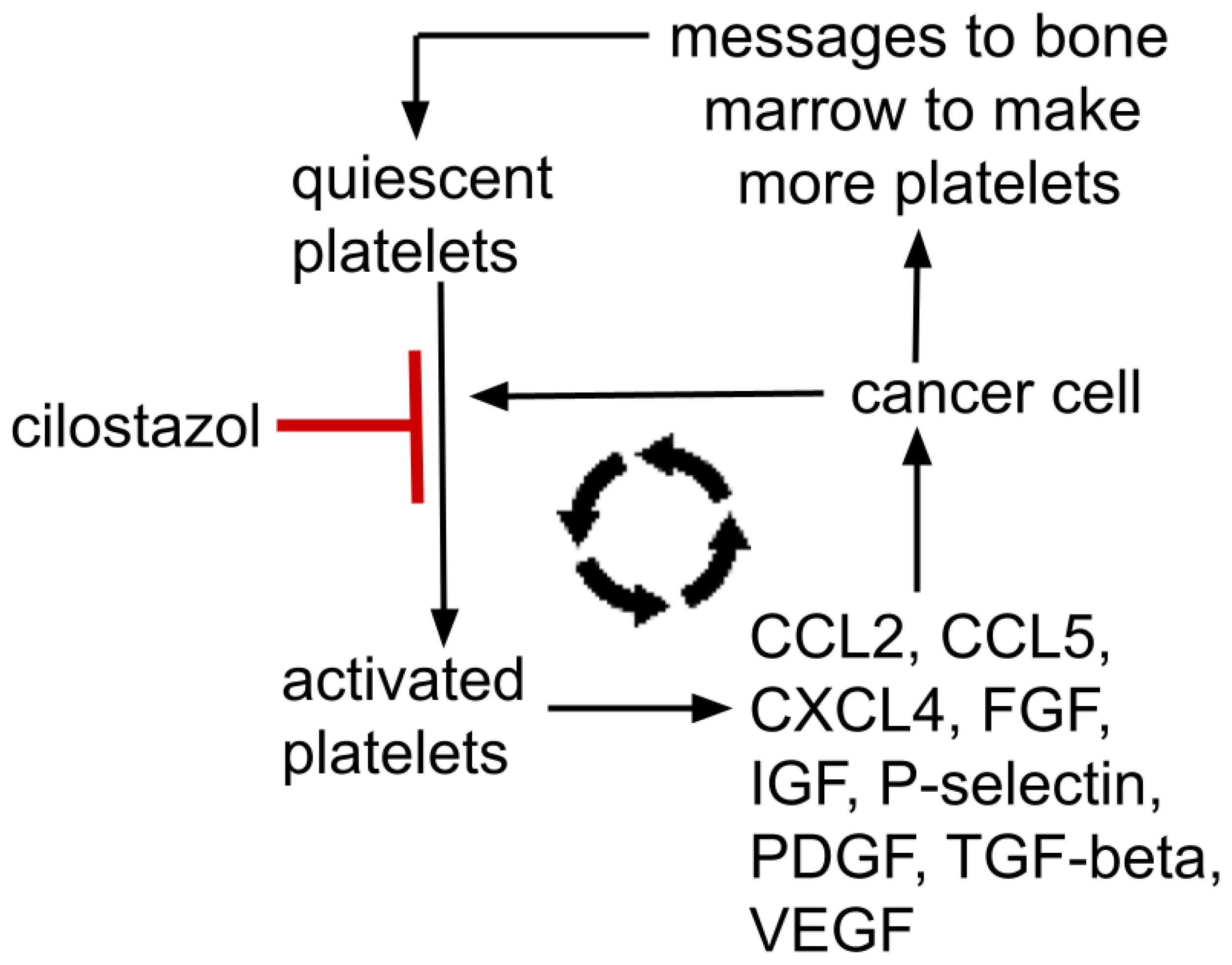 Cells 13 01175 g002 Cells 13 01175 g002