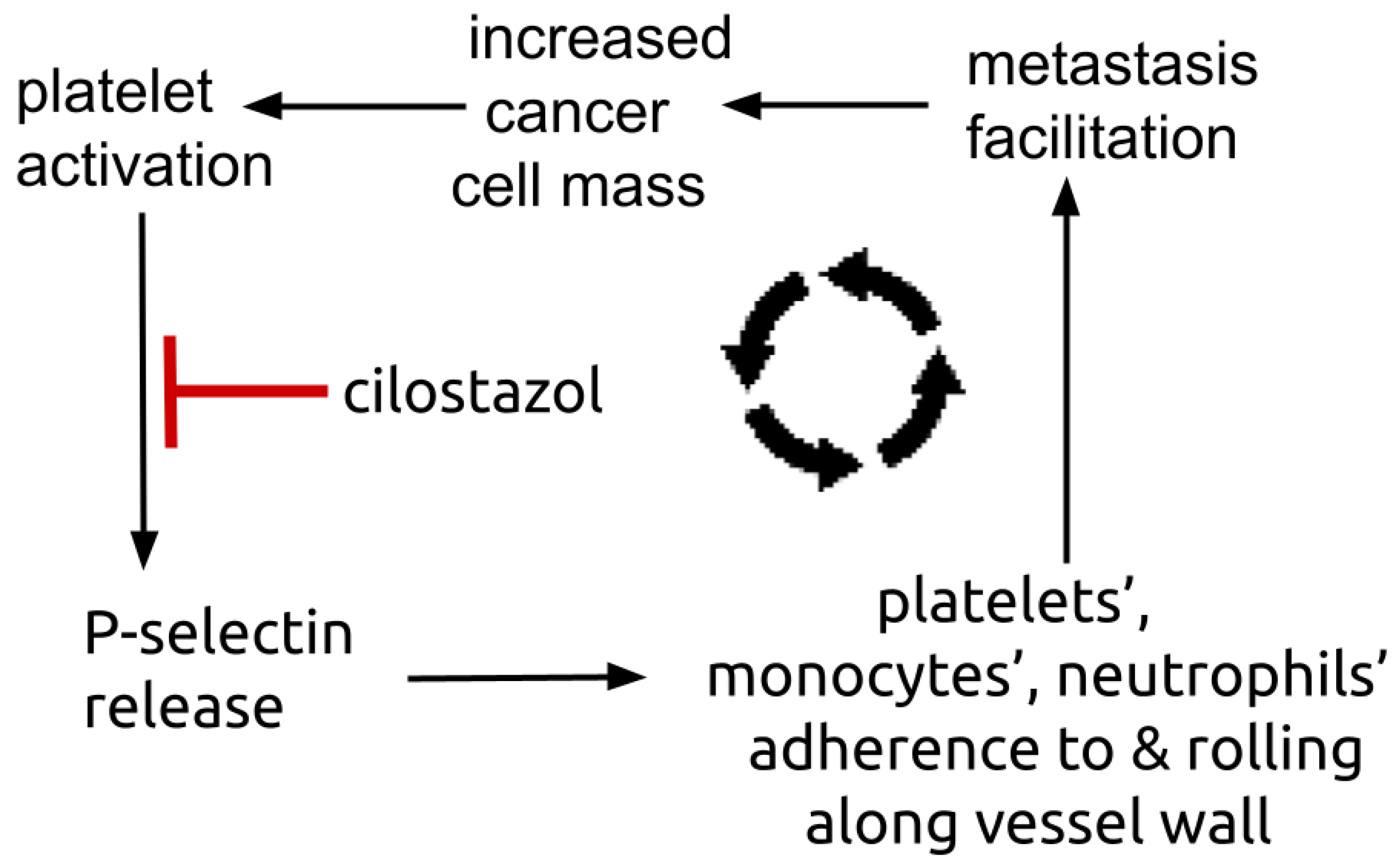 Cells 13 01175 g003 Cells 13 01175 g003