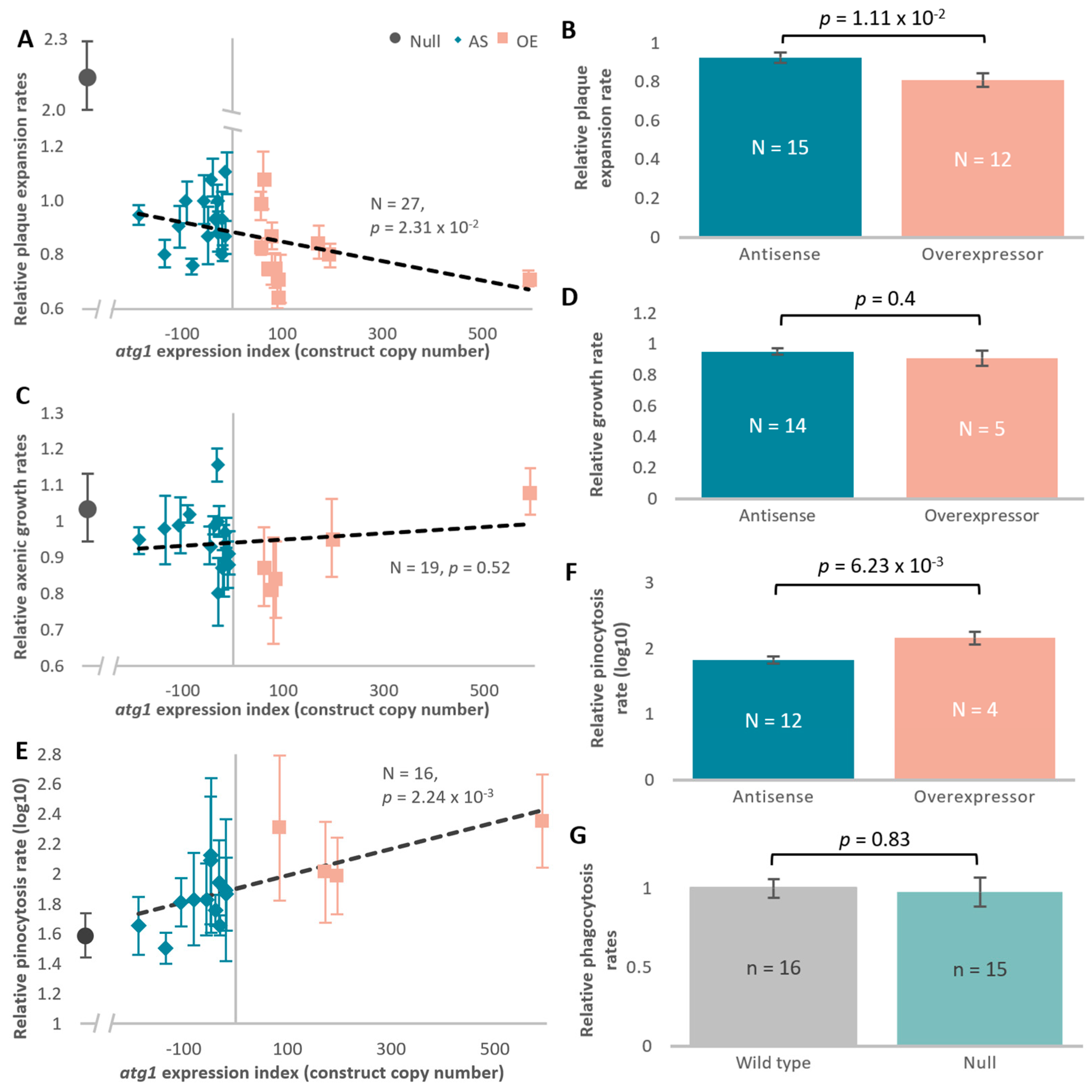 Cells 13 01191 g002 Cells 13 01191 g002