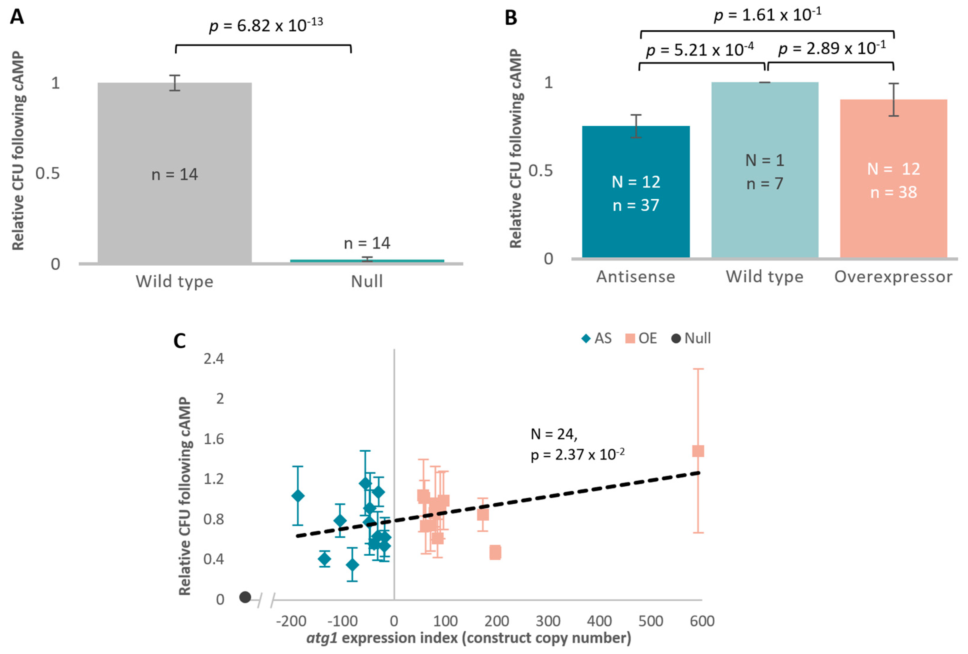 Cells 13 01191 g004a Cells 13 01191 g004a