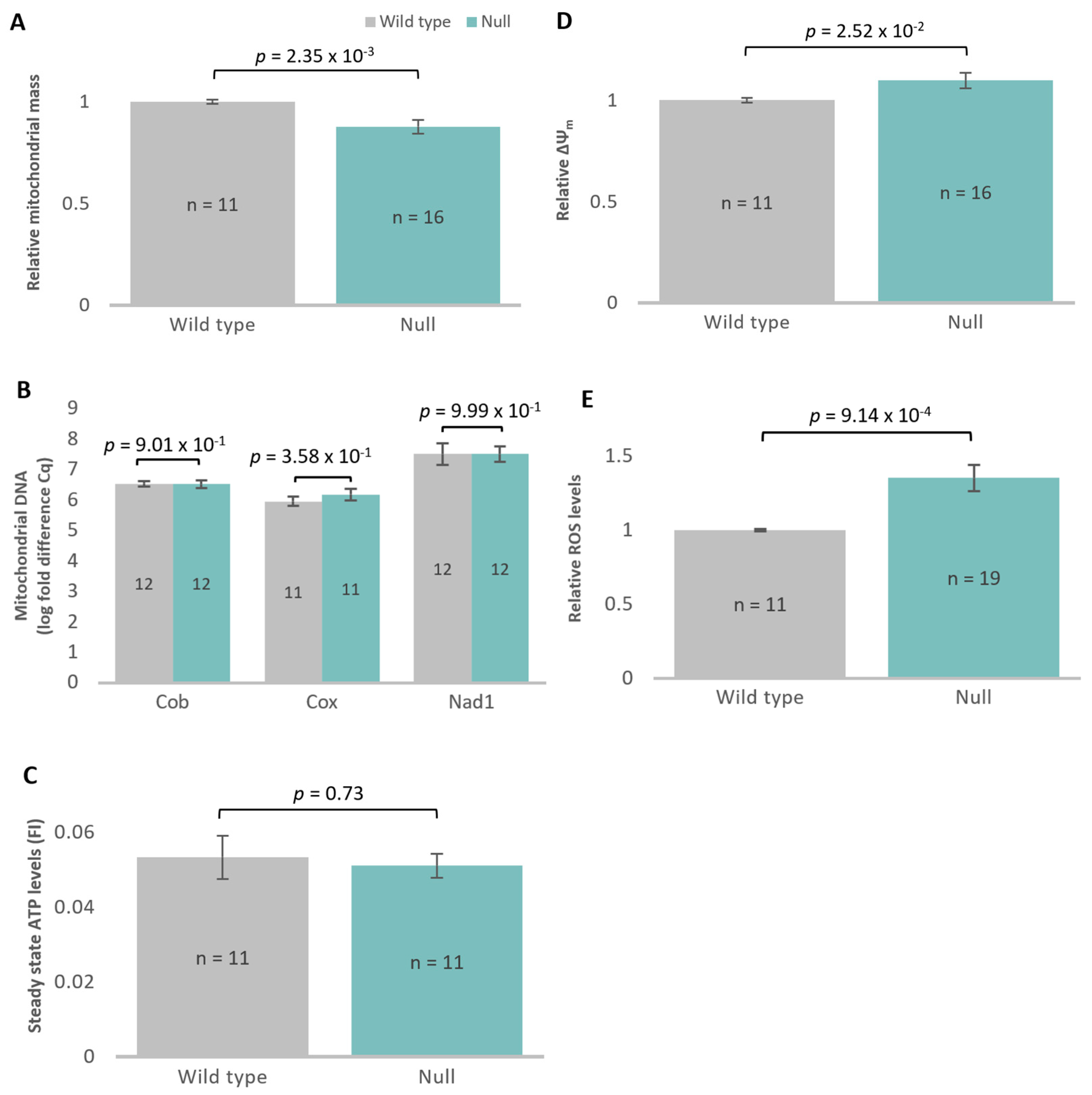 Cells 13 01191 g007 Cells 13 01191 g007