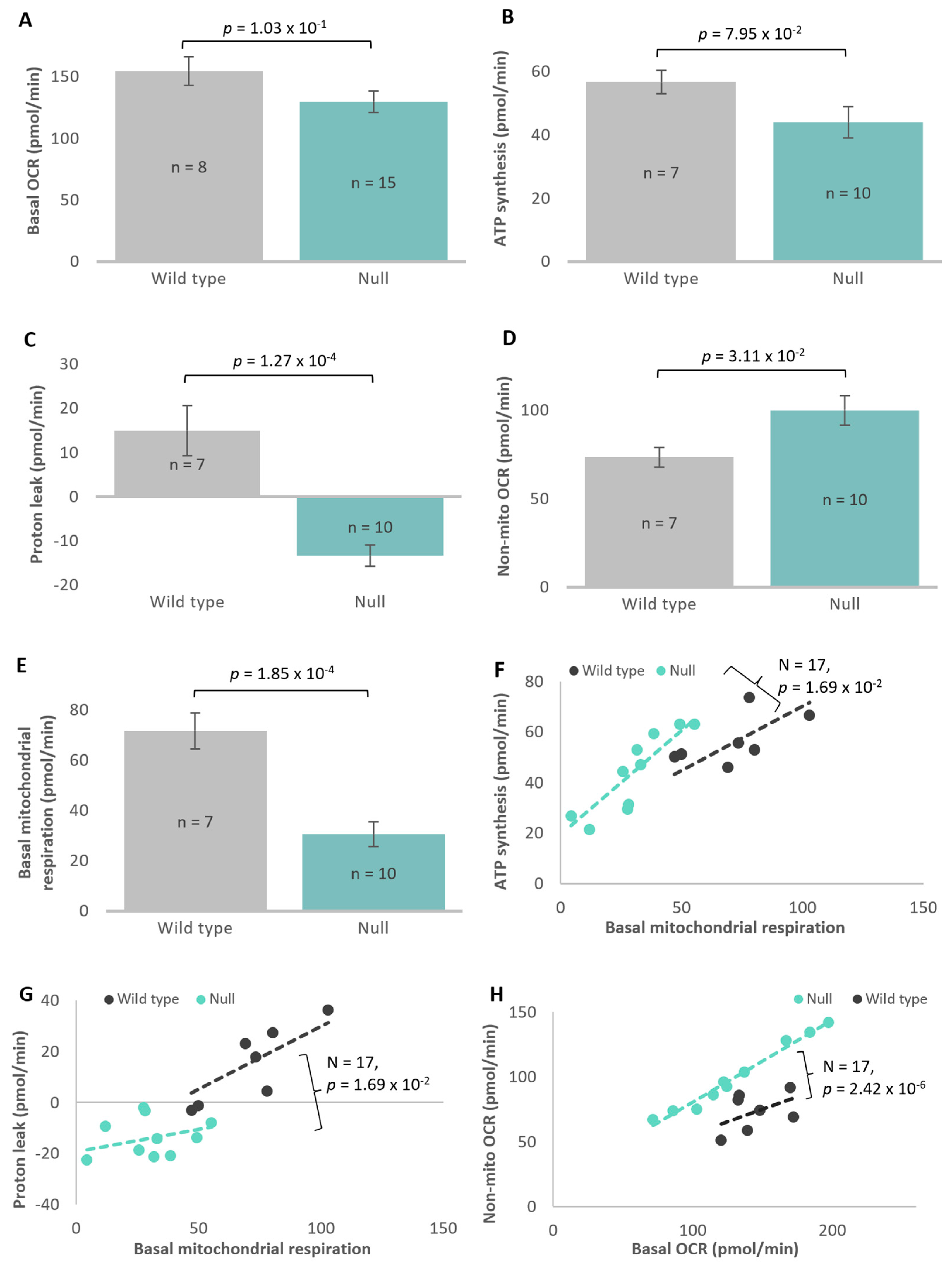 Cells 13 01191 g008 Cells 13 01191 g008