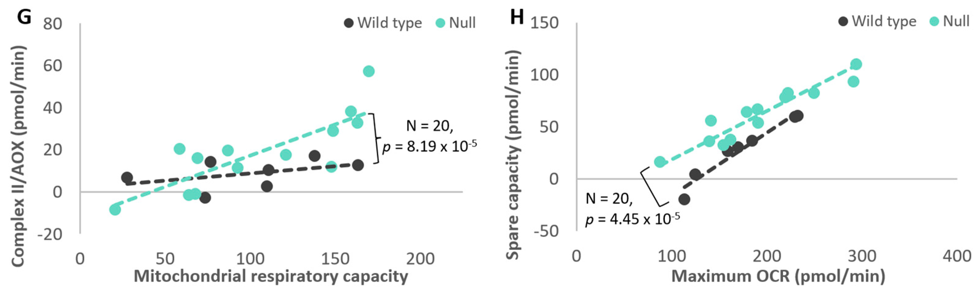 Cells 13 01191 g009b Cells 13 01191 g009b