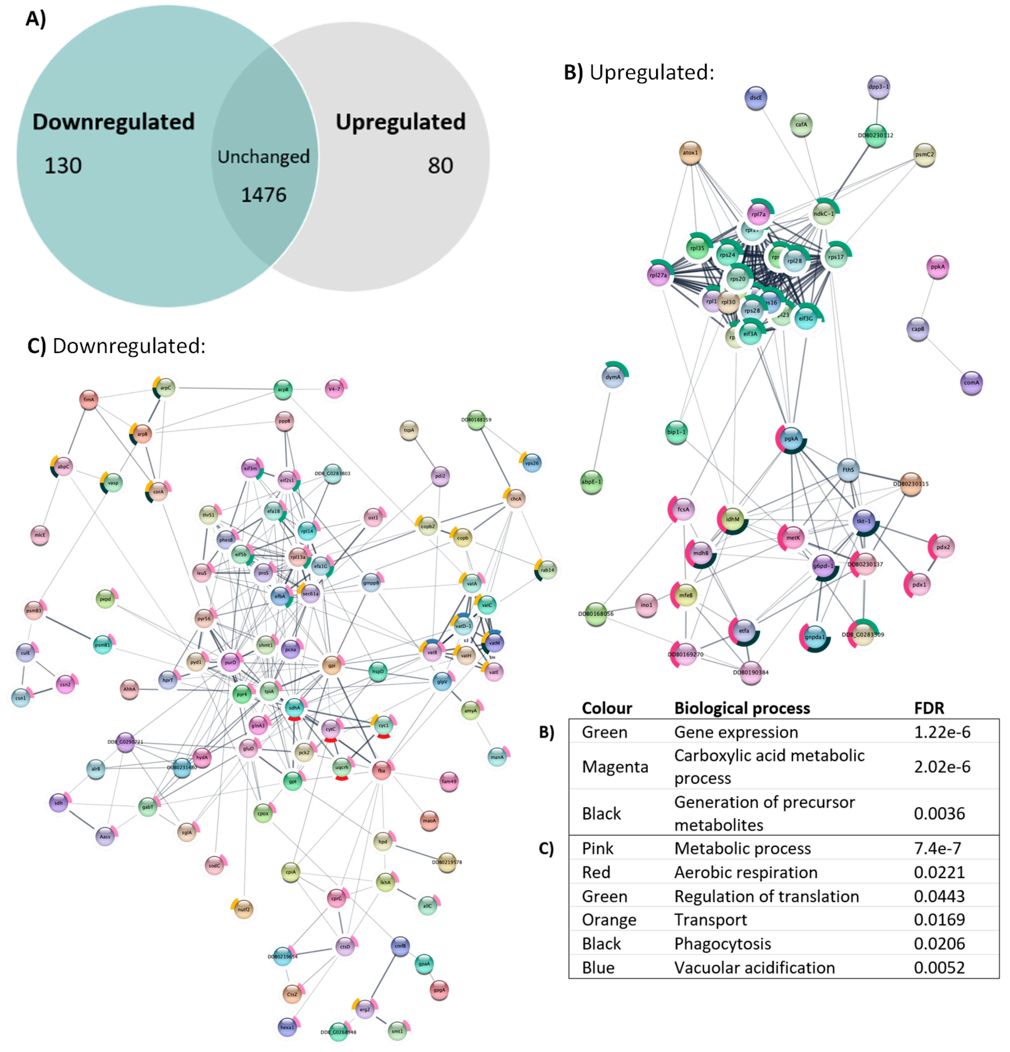 Cells 13 01191 g010 Cells 13 01191 g010