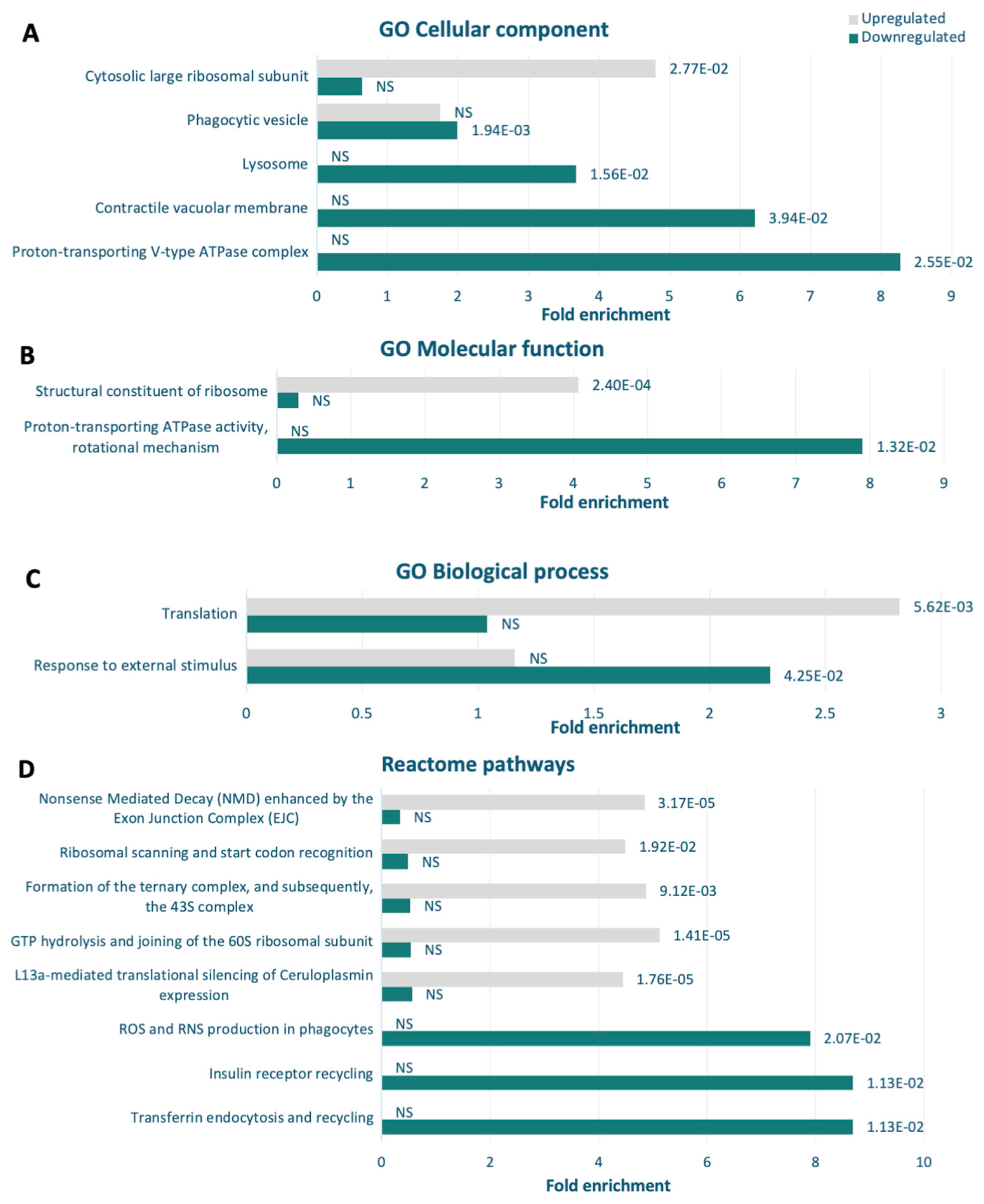 Cells 13 01191 g011 Cells 13 01191 g011