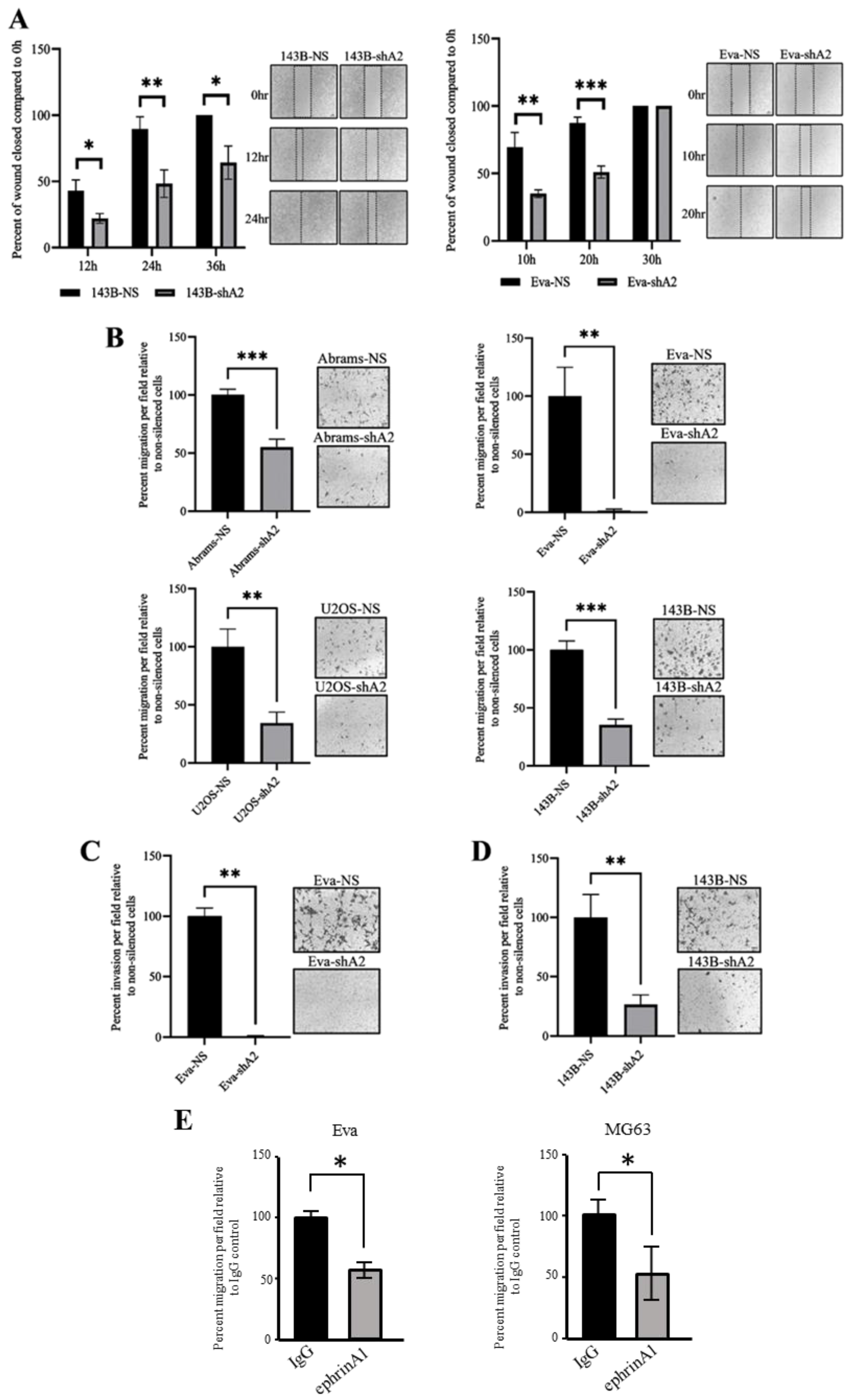 Cells 13 01201 g003 Cells 13 01201 g003