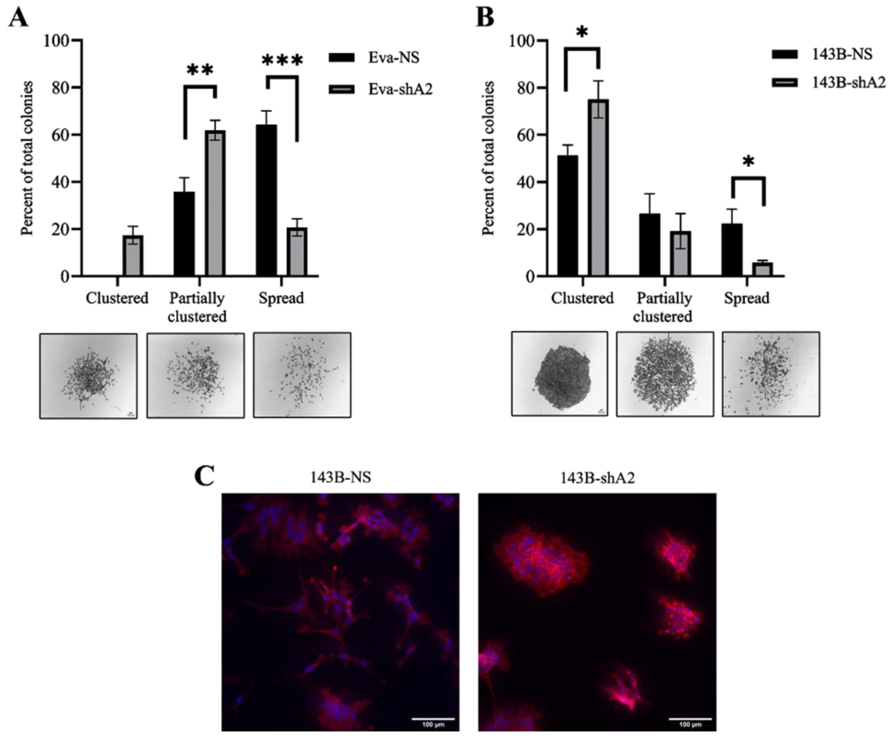 Cells 13 01201 g005 Cells 13 01201 g005