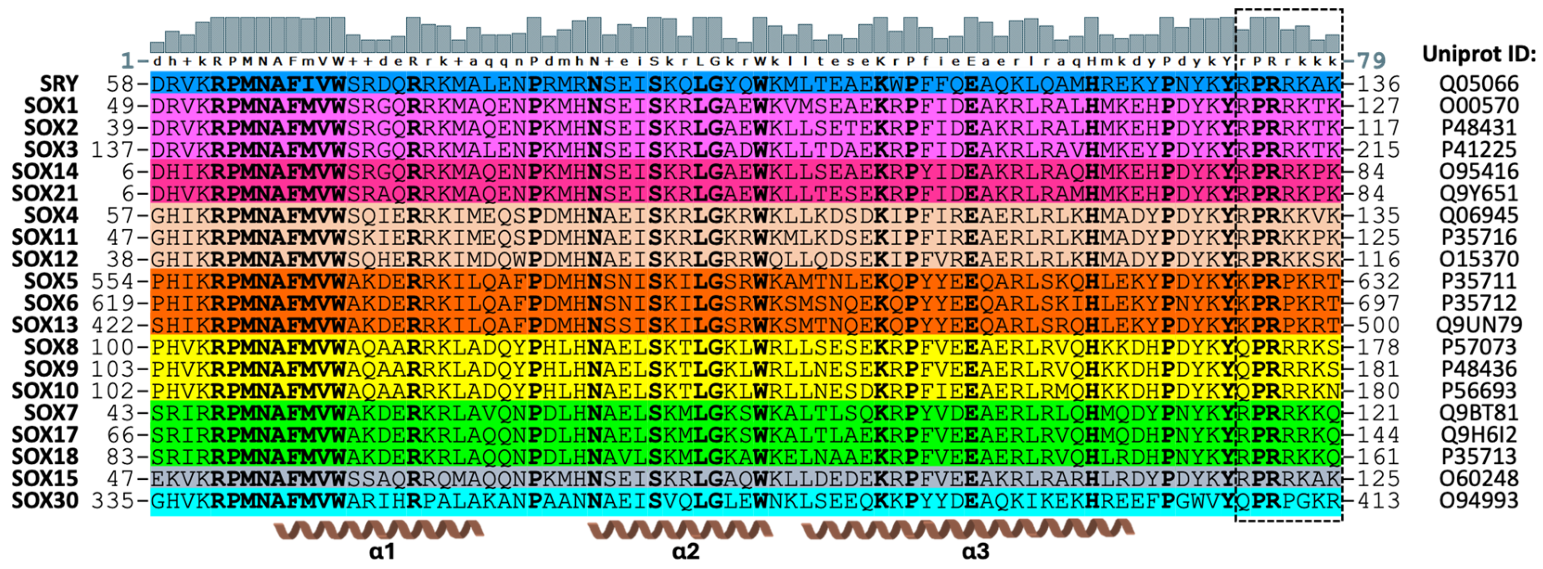 Cells 13 01202 g001 Cells 13 01202 g001