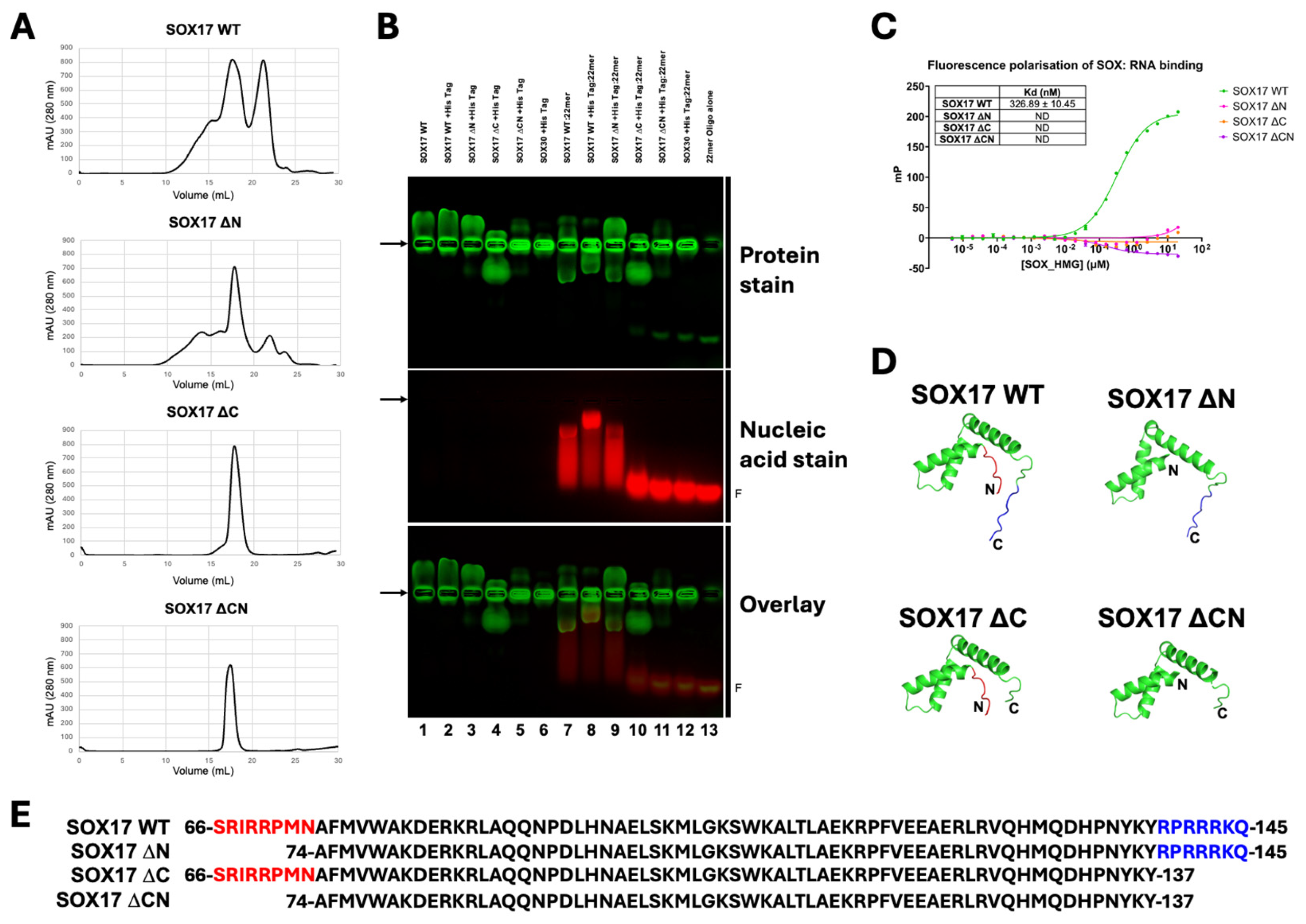 Cells 13 01202 g005 Cells 13 01202 g005