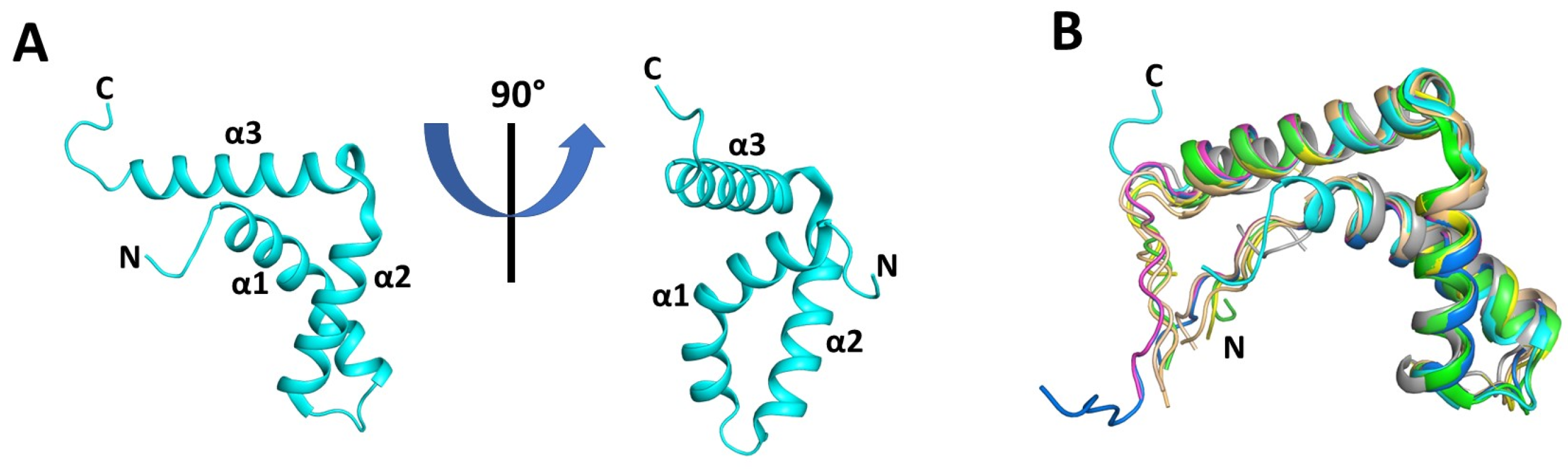 Cells 13 01202 g007 Cells 13 01202 g007