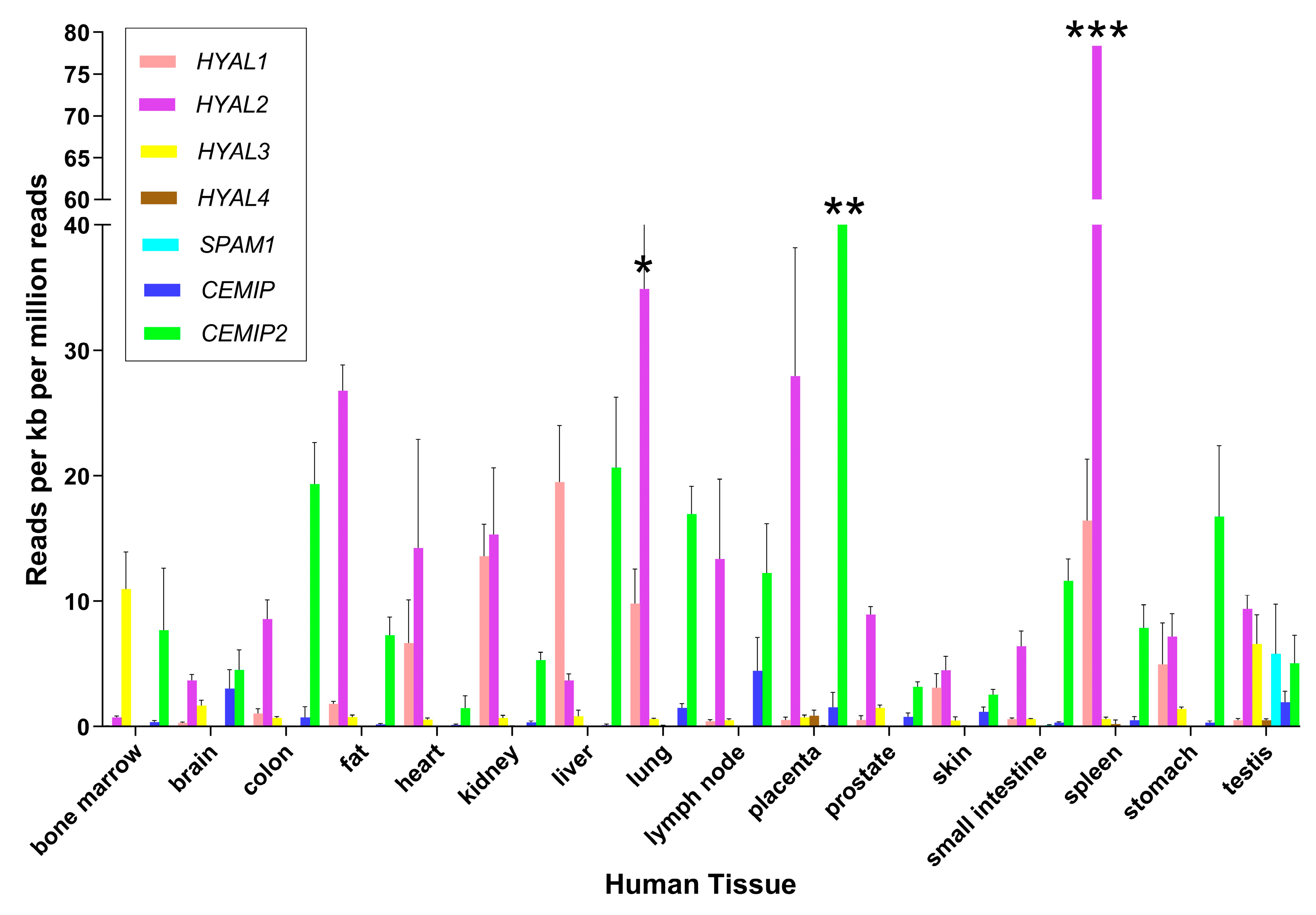 Cells 13 01203 g002 Cells 13 01203 g002