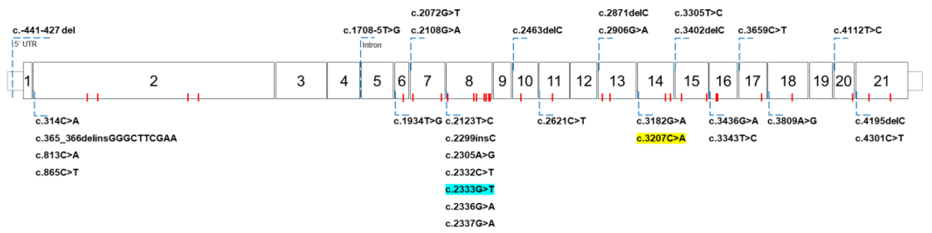 Cells 13 01214 g003 Cells 13 01214 g003