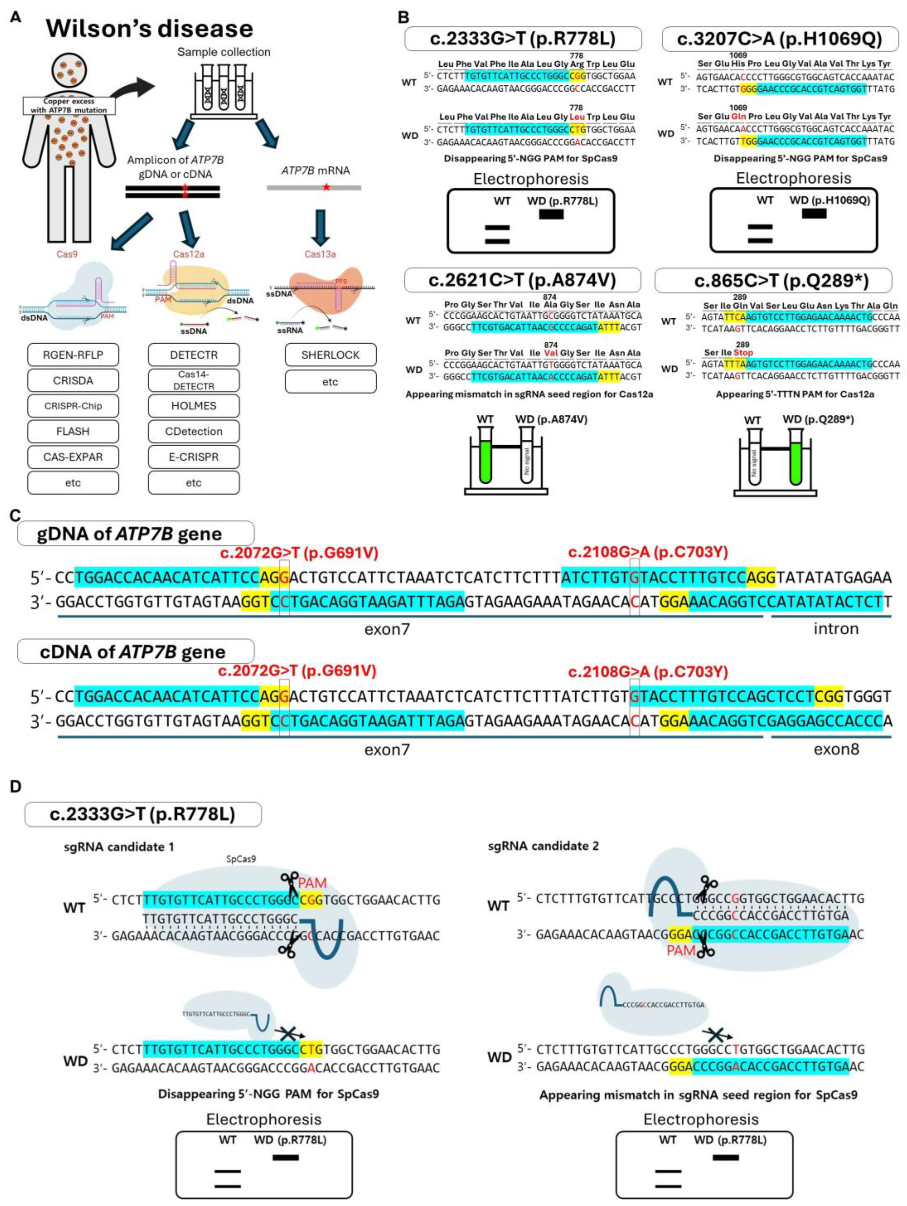 Cells 13 01214 g005 Cells 13 01214 g005