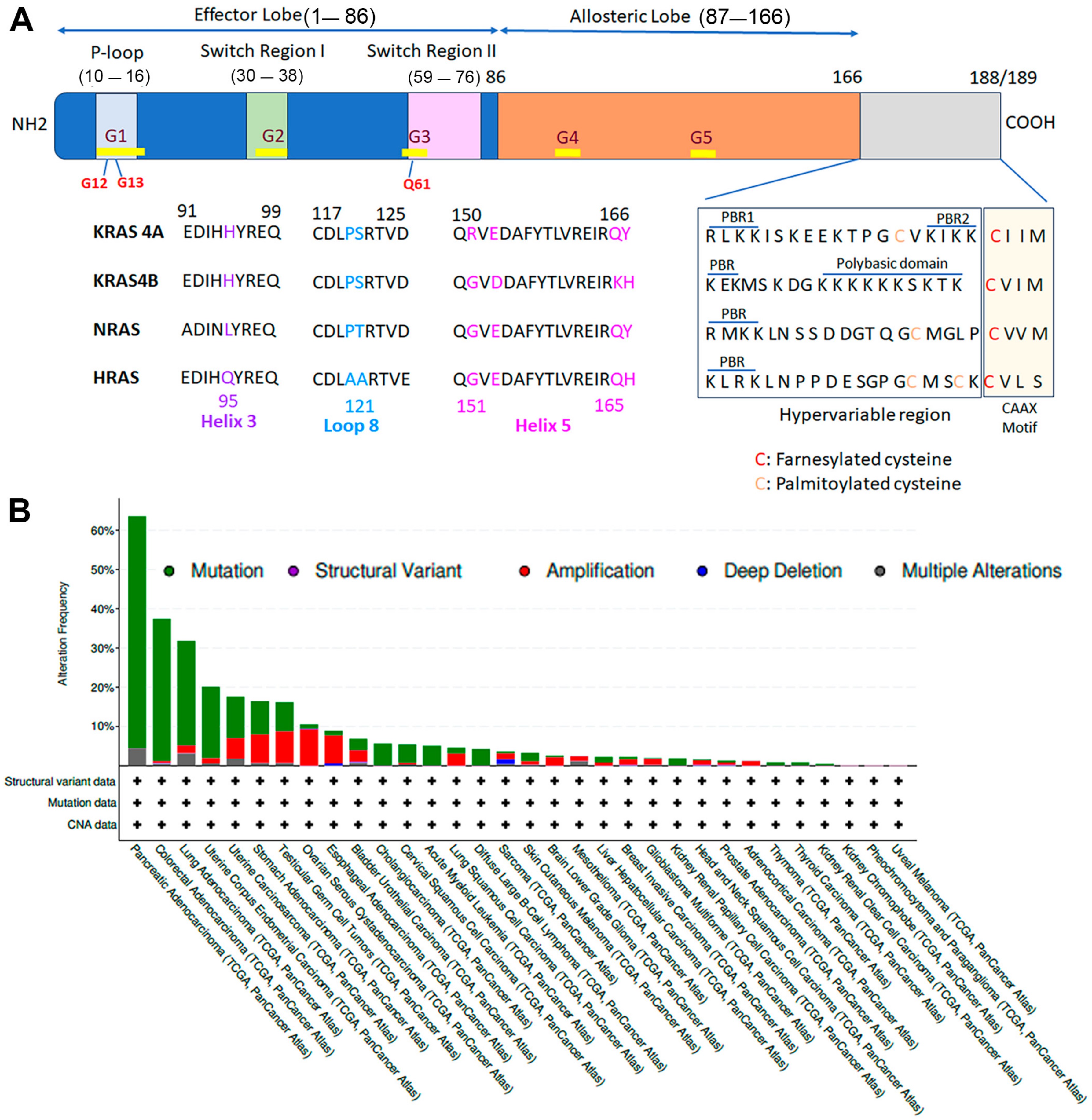 Cells 13 01221 g001 Cells 13 01221 g001