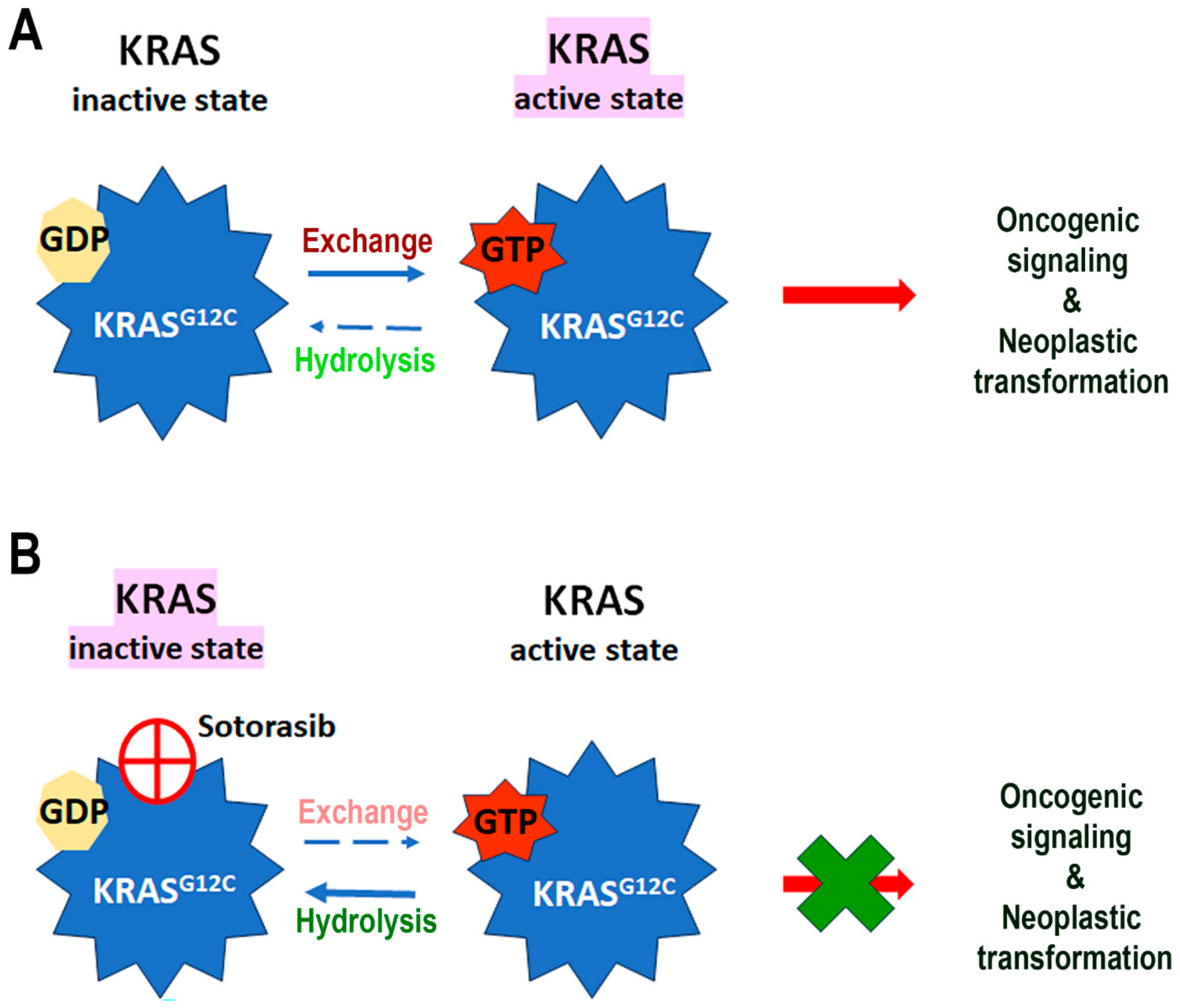 Cells 13 01221 g010 Cells 13 01221 g010