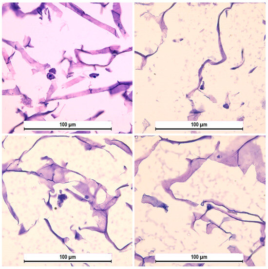 Three-Dimensional Cell Culture Micro-CT Visualization within Collagen ...