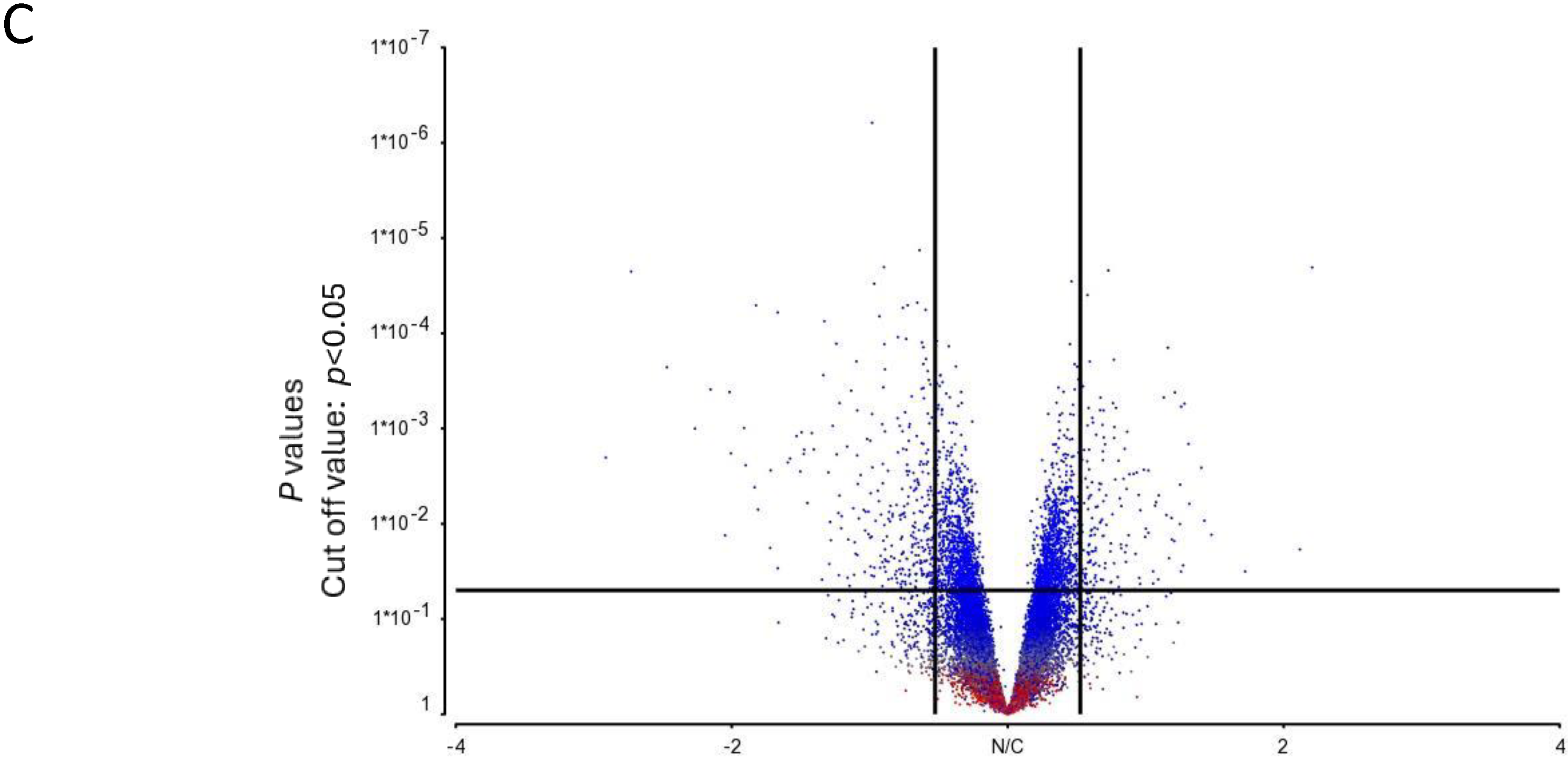 Cells 13 01237 g002c