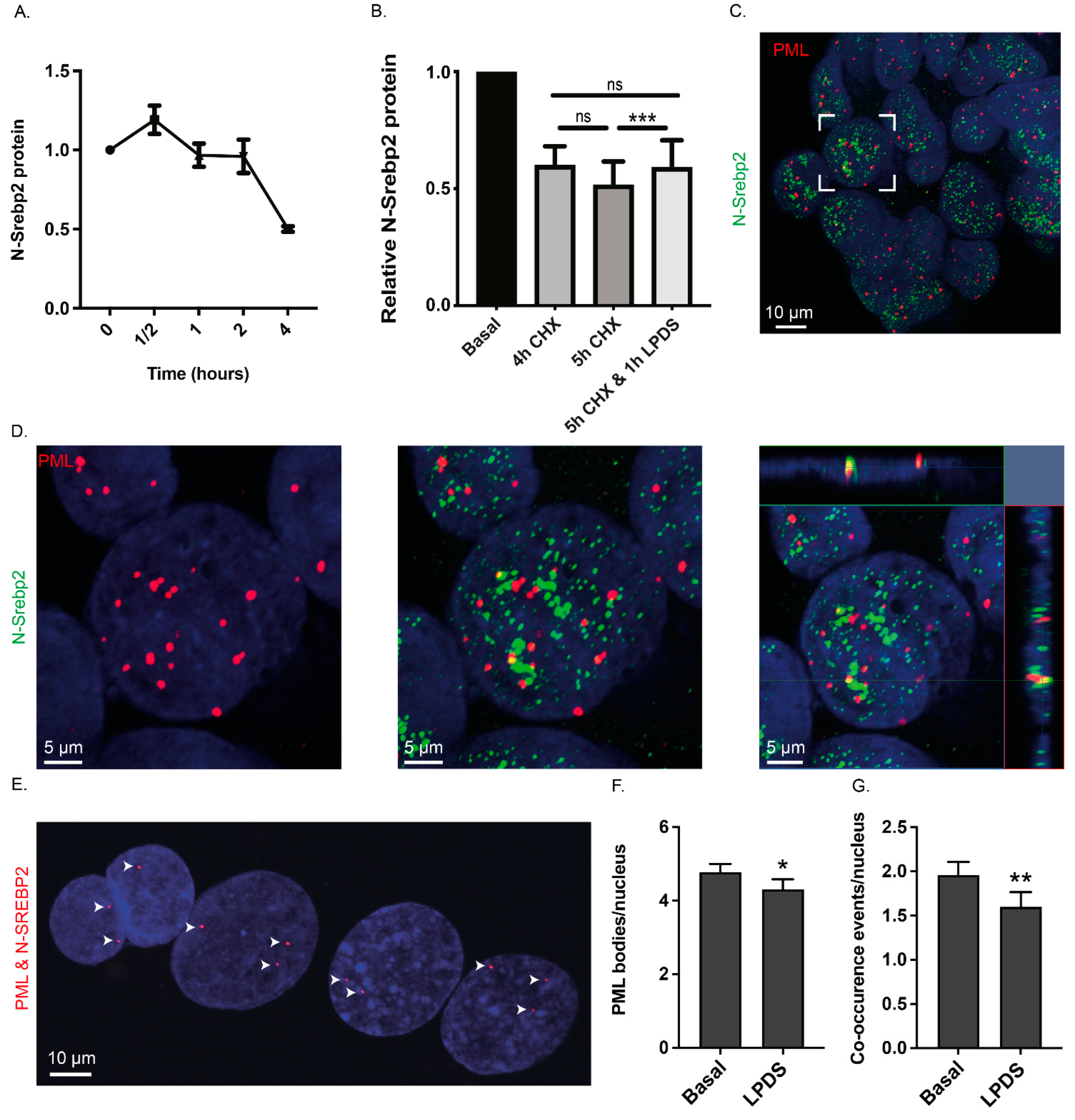 Cells 13 01255 g003 Cells 13 01255 g003