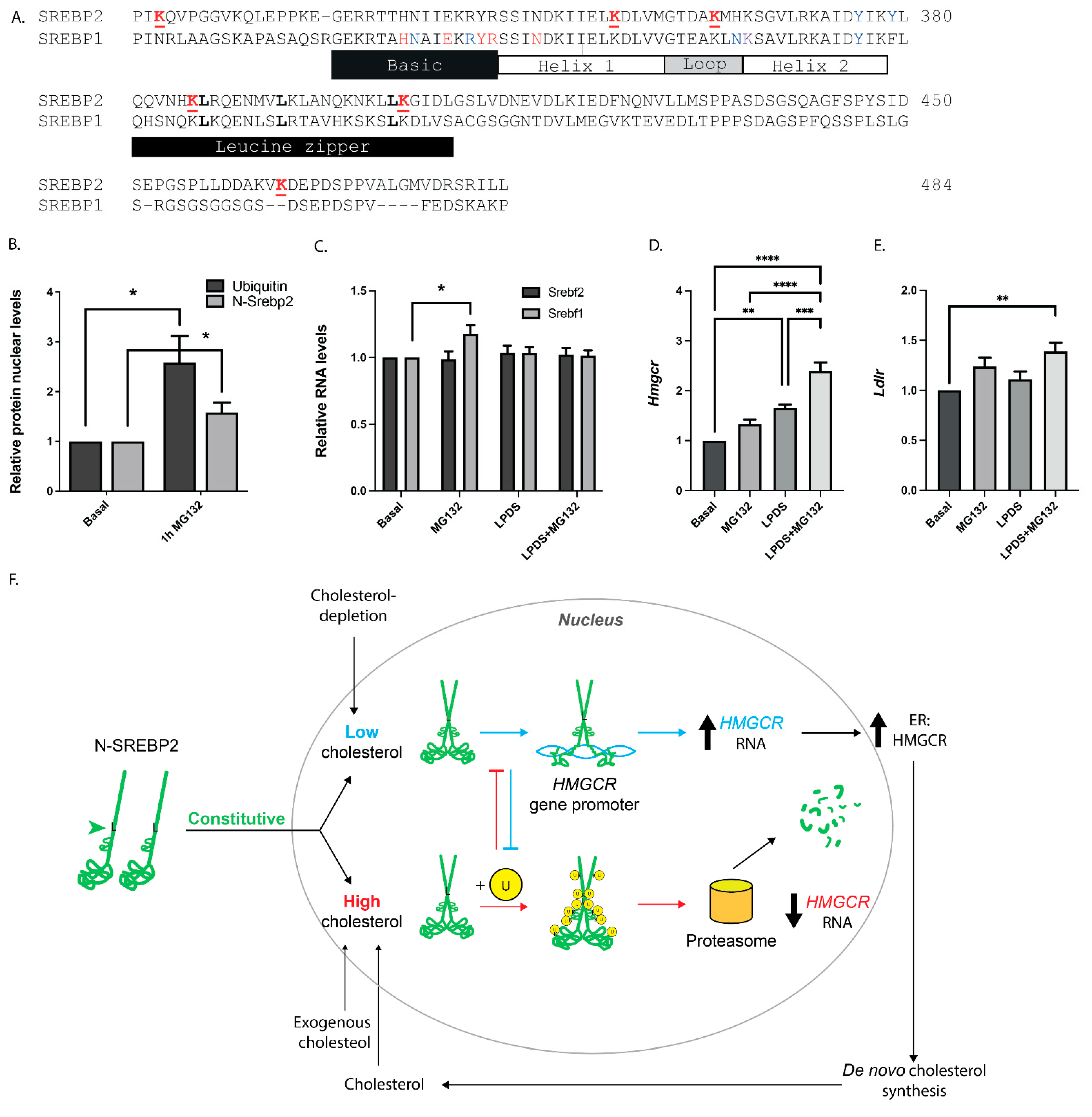 Cells 13 01255 g004 Cells 13 01255 g004