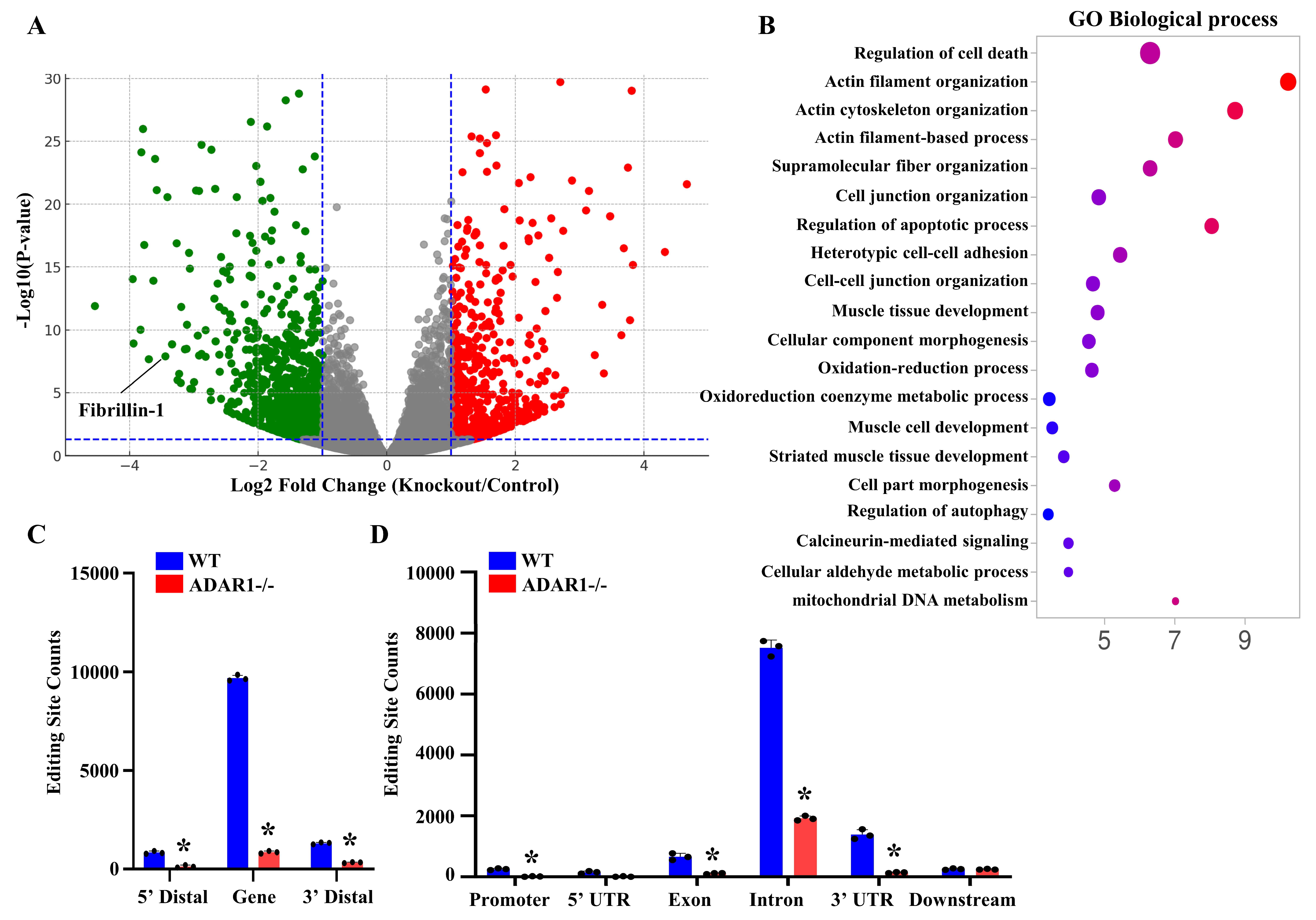 Cells 13 01257 g004 Cells 13 01257 g004