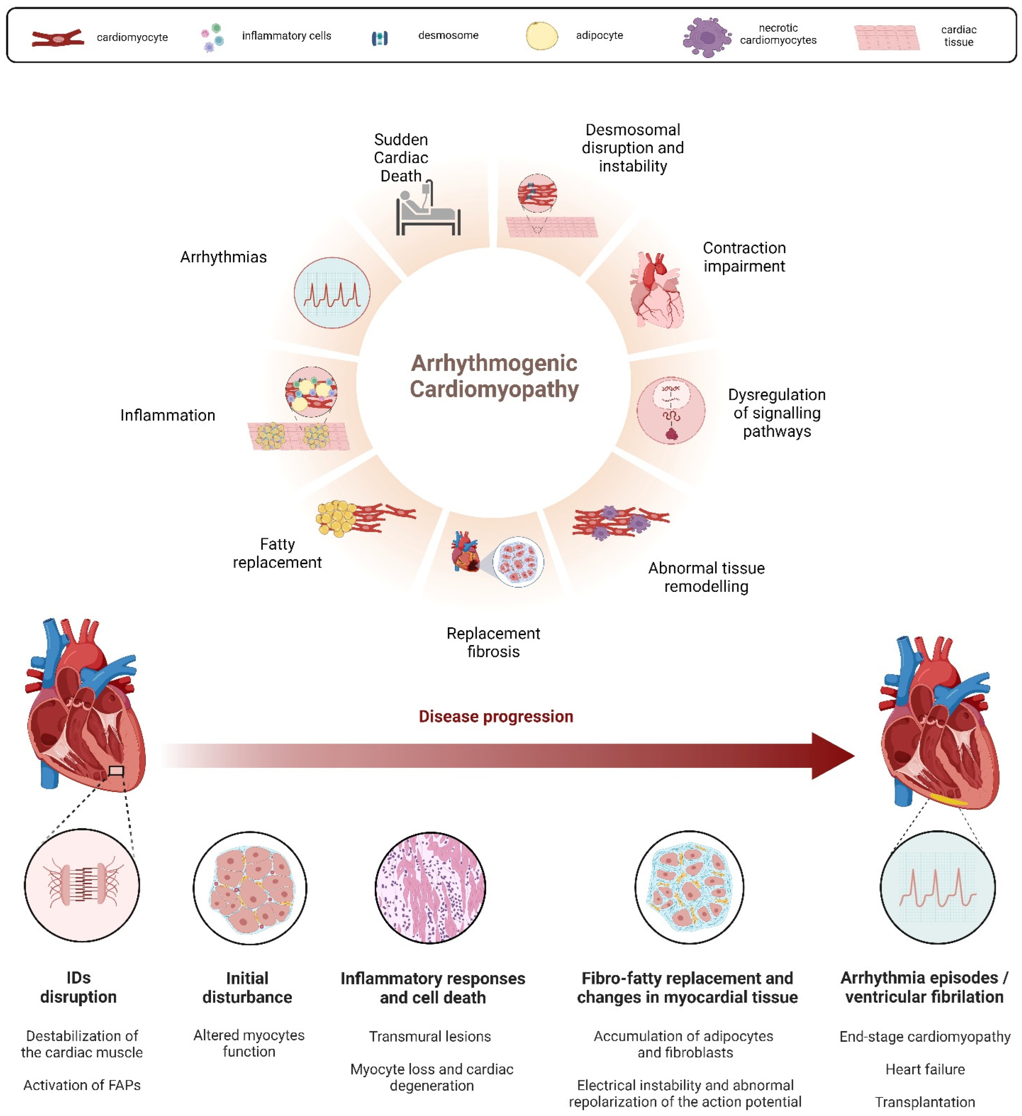 Cells 13 01264 g001 Cells 13 01264 g001
