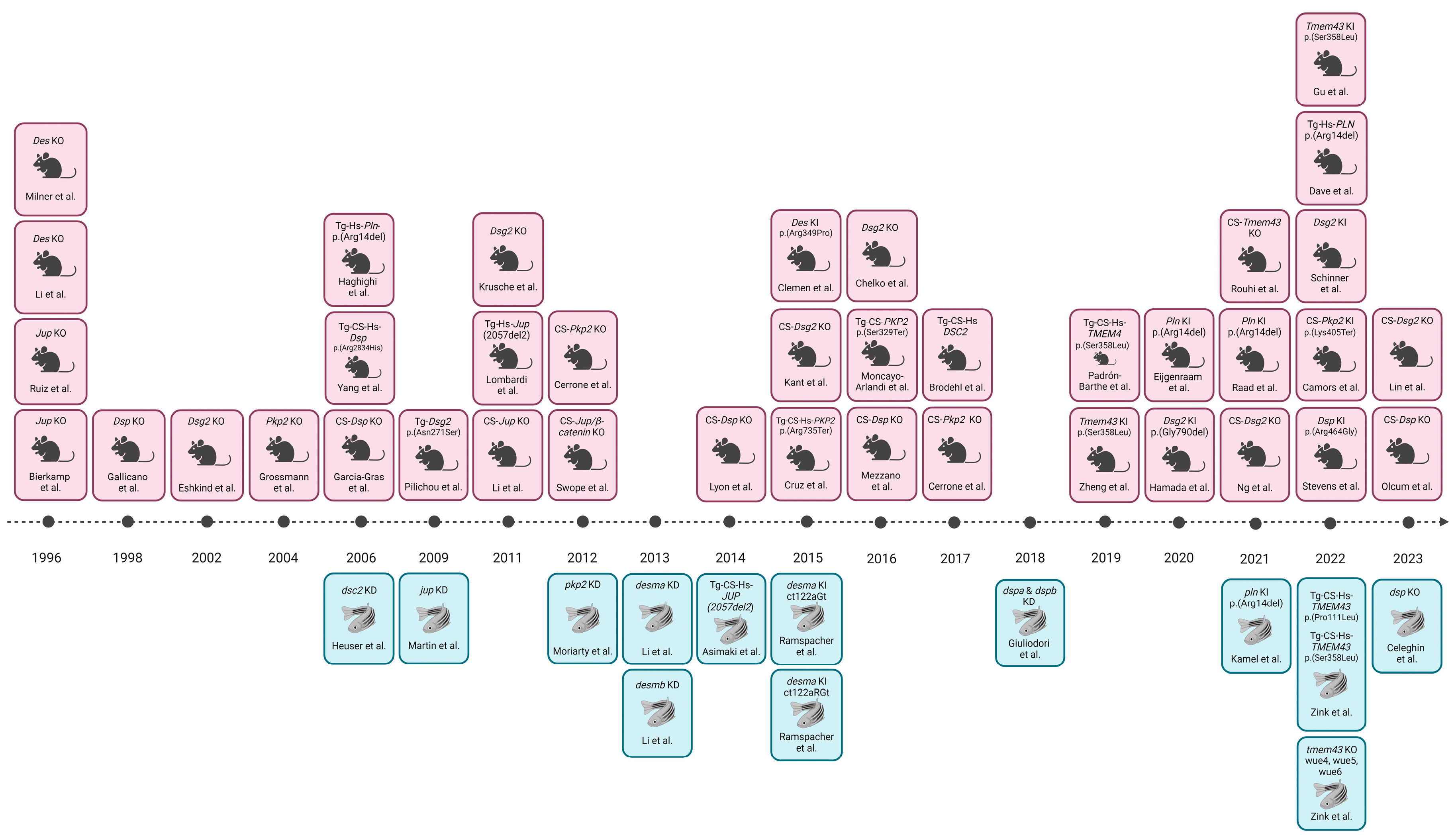 Cells 13 01264 g003 Cells 13 01264 g003