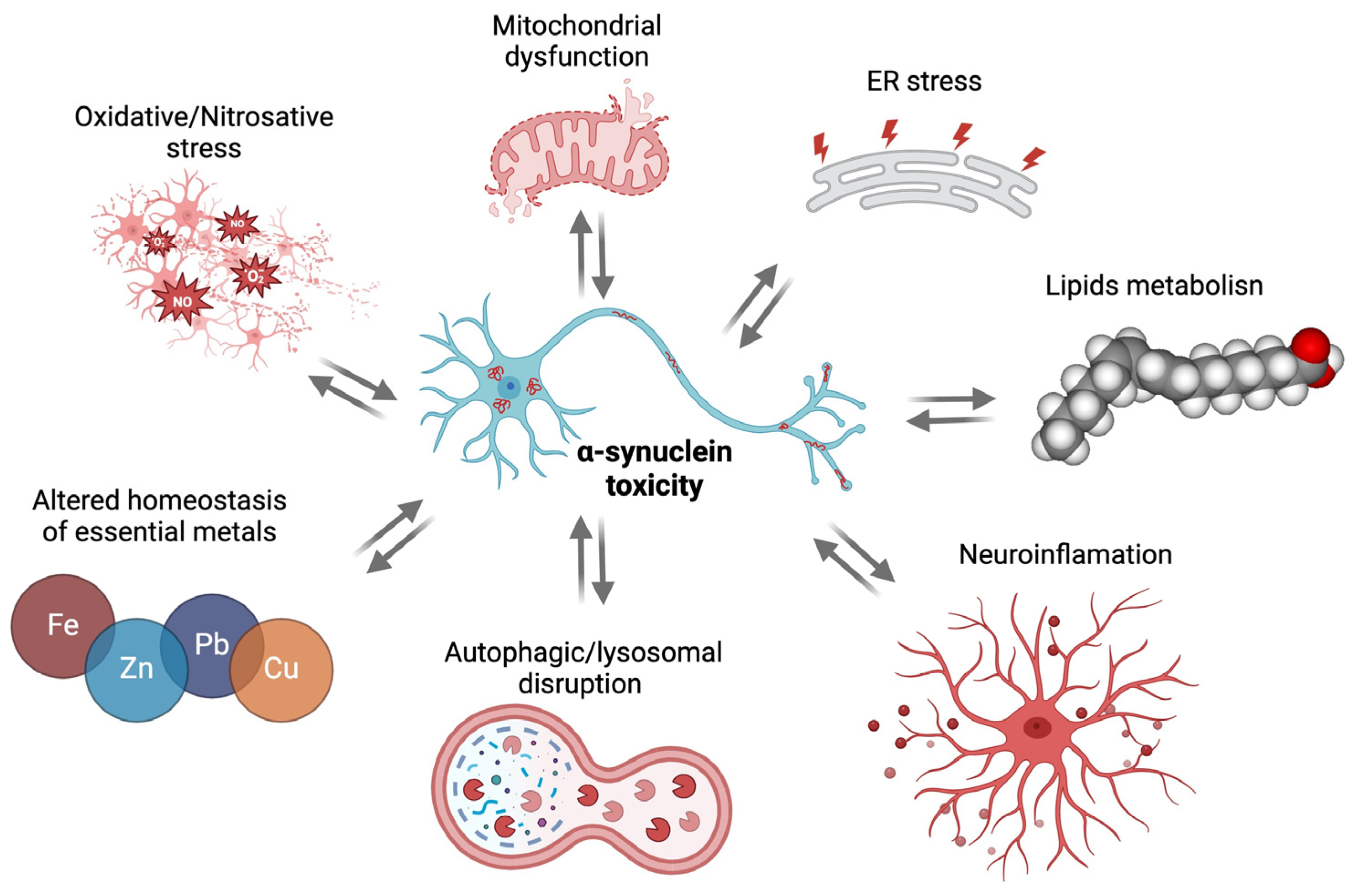 Cells 13 01265 g001 Cells 13 01265 g001