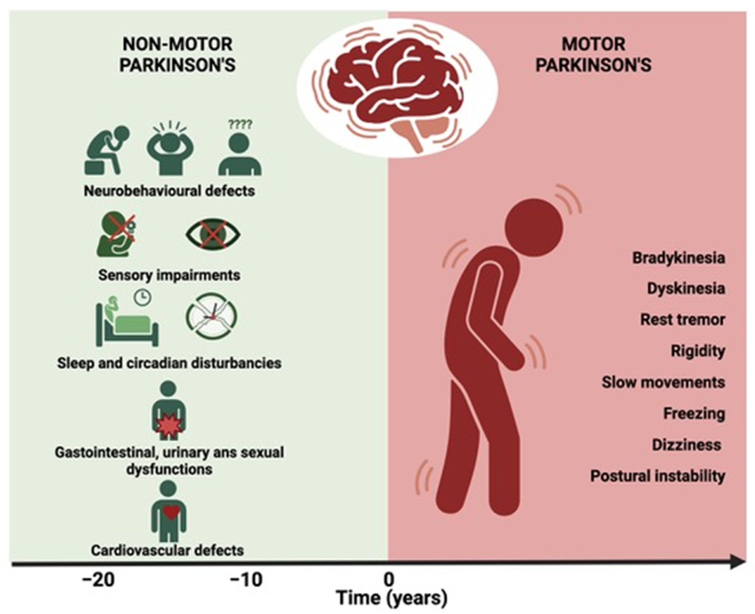 Cells 13 01265 g002 Cells 13 01265 g002