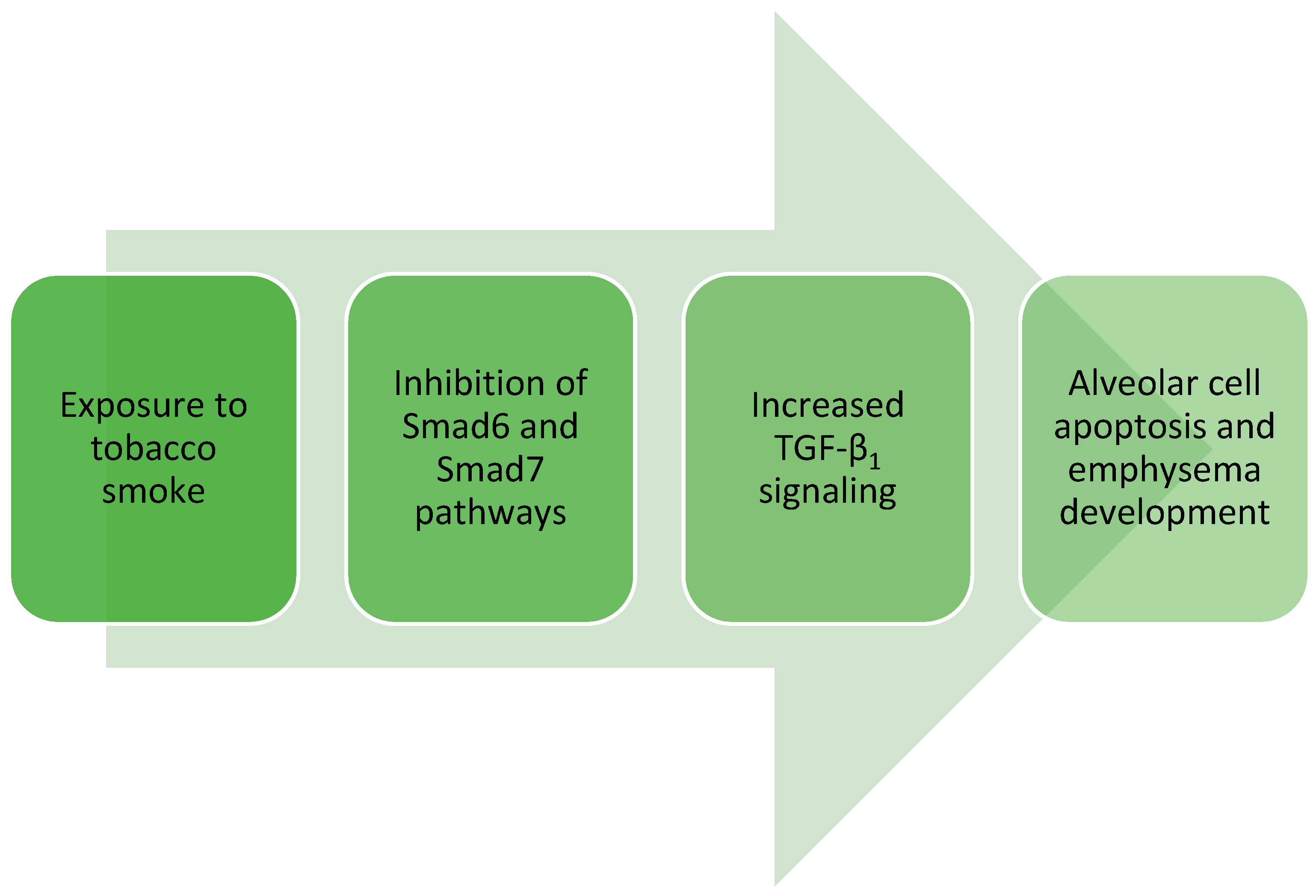 Cells 13 01271 g002 Cells 13 01271 g002