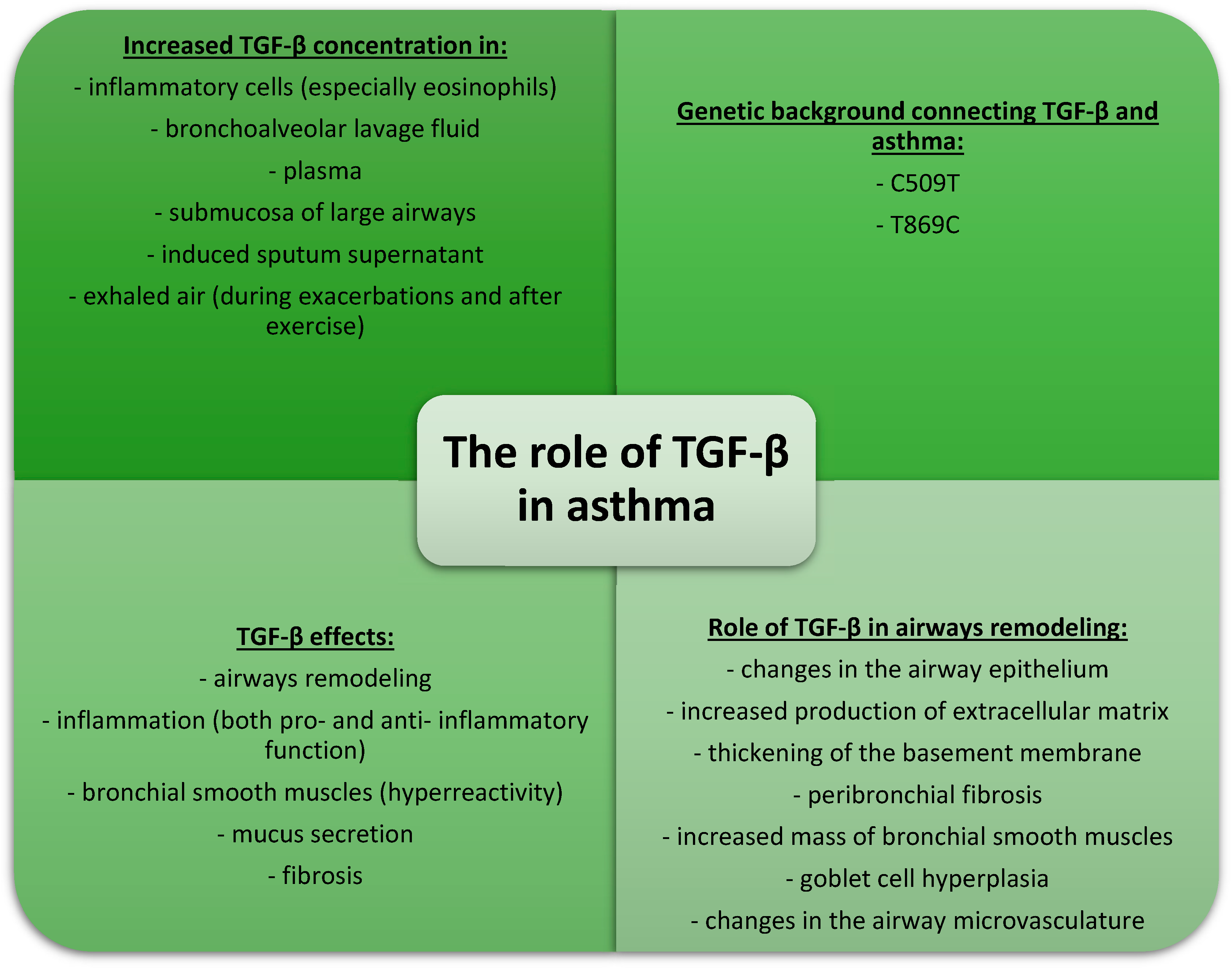 Cells 13 01271 g004 Cells 13 01271 g004