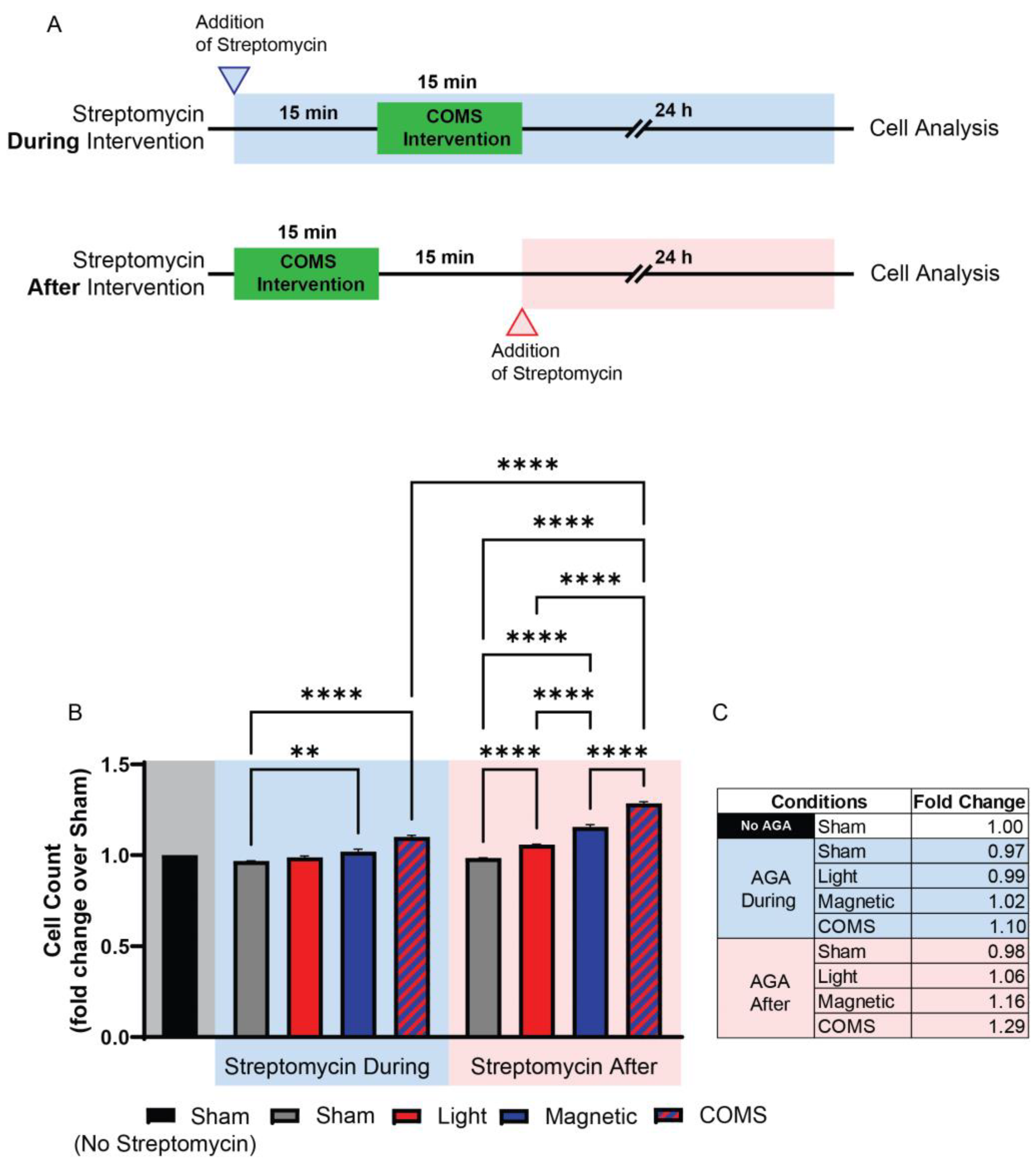 Cells 13 01273 g002 Cells 13 01273 g002