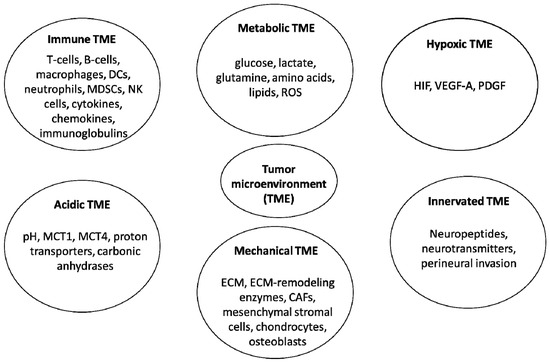 Intratumoral Microbiome: Foe or Friend in Reshaping the Tumor