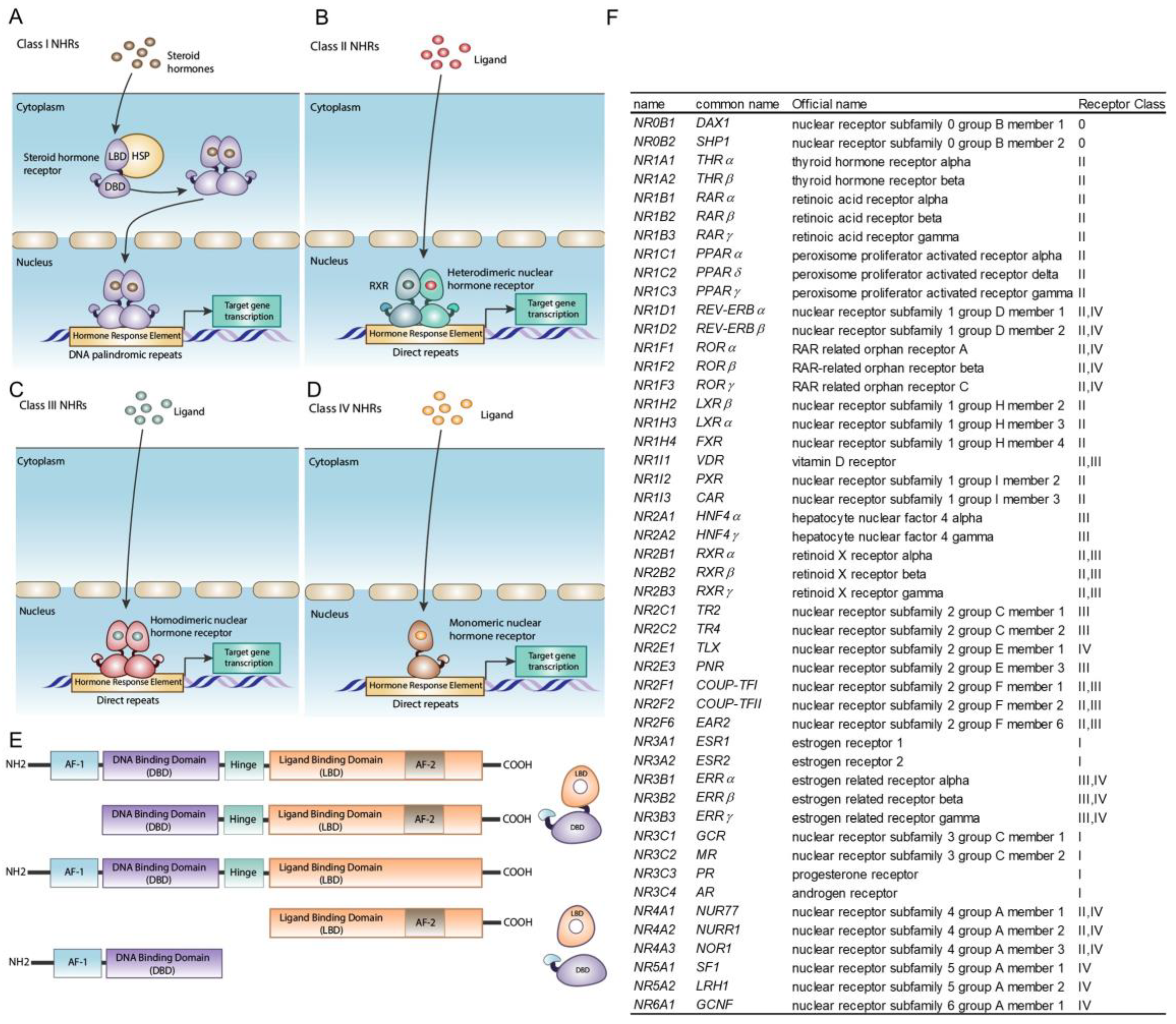 Cells 13 01284 g001 Cells 13 01284 g001