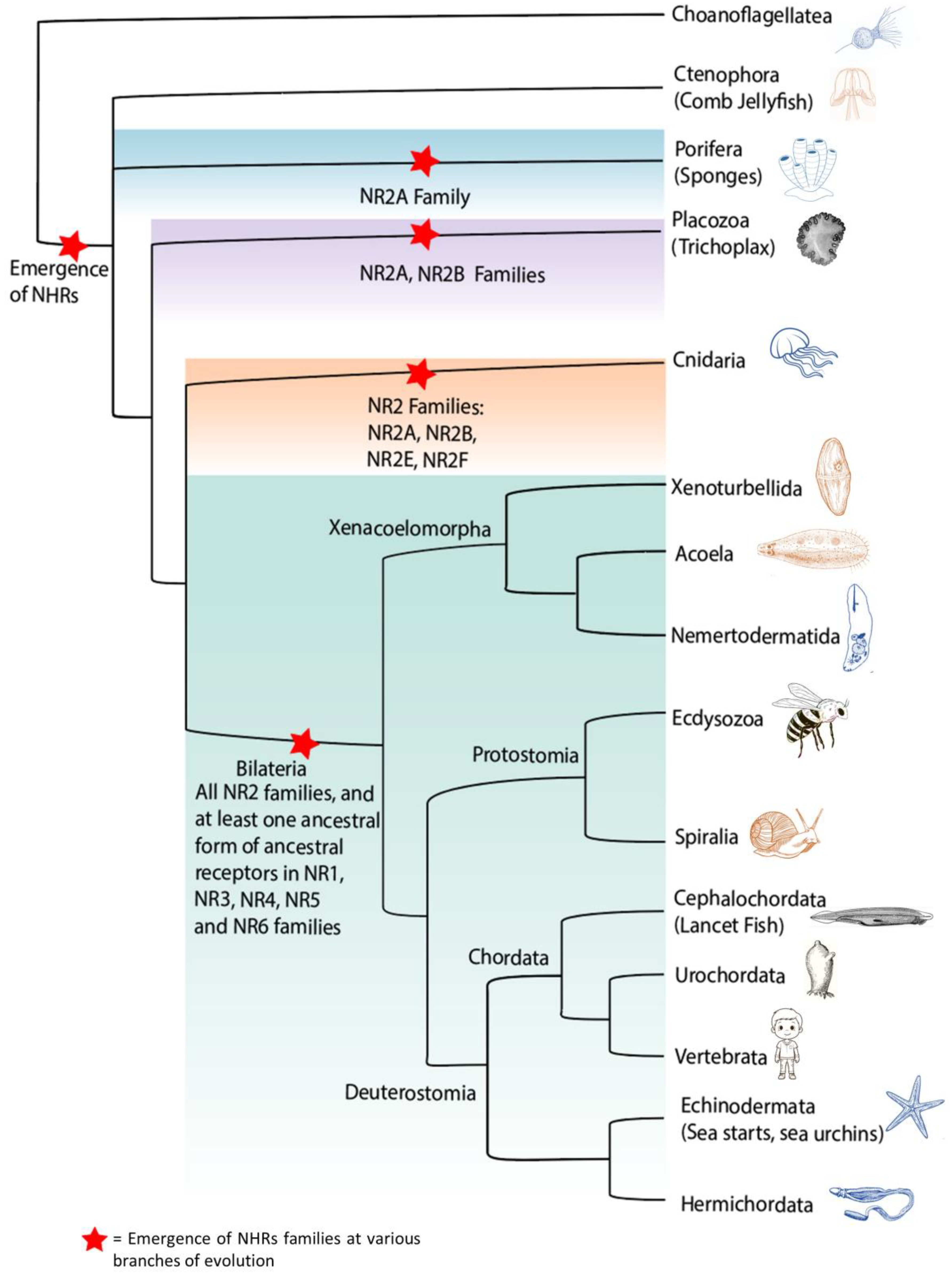 Cells 13 01284 g003 Cells 13 01284 g003