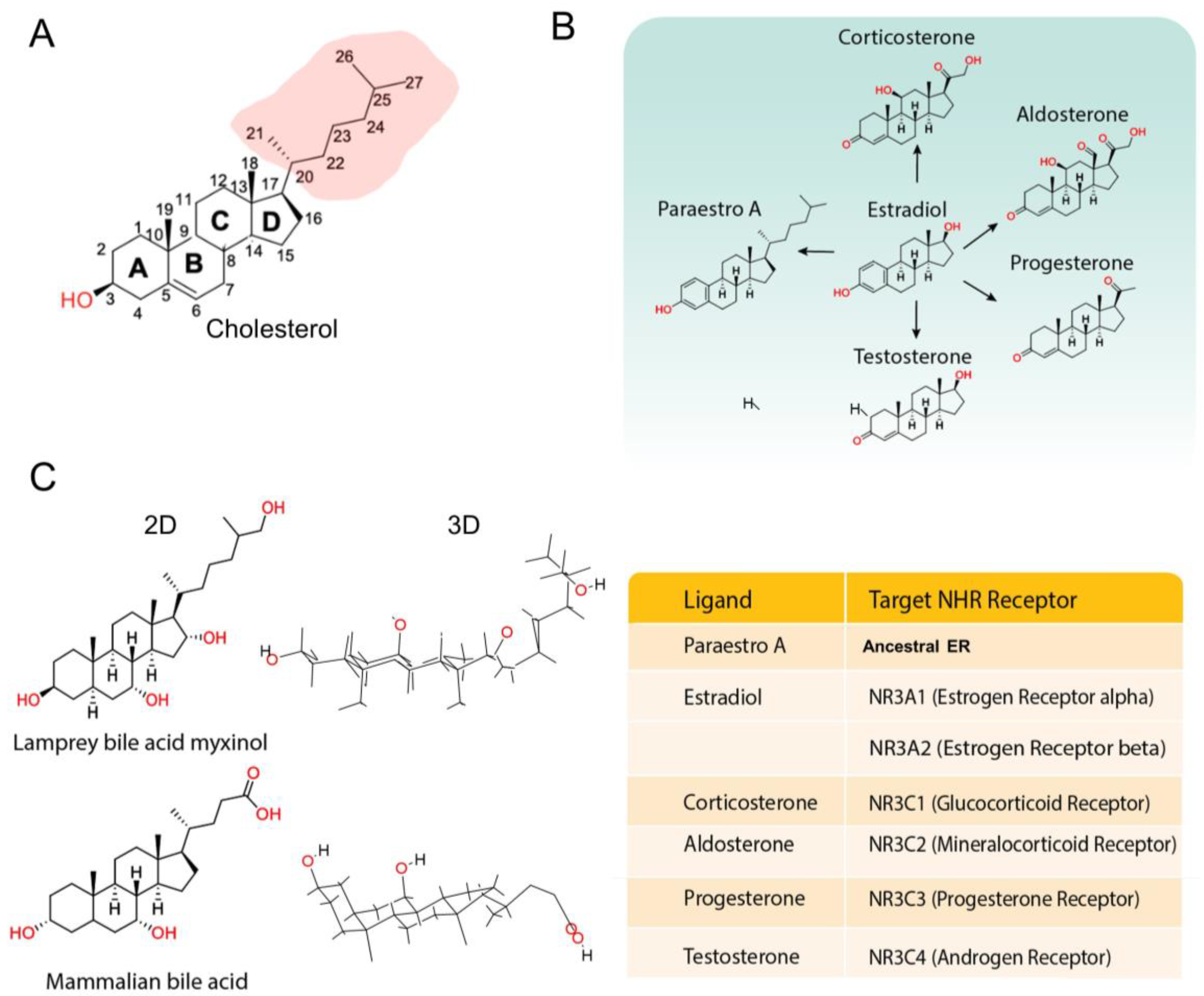 Cells 13 01284 g004 Cells 13 01284 g004
