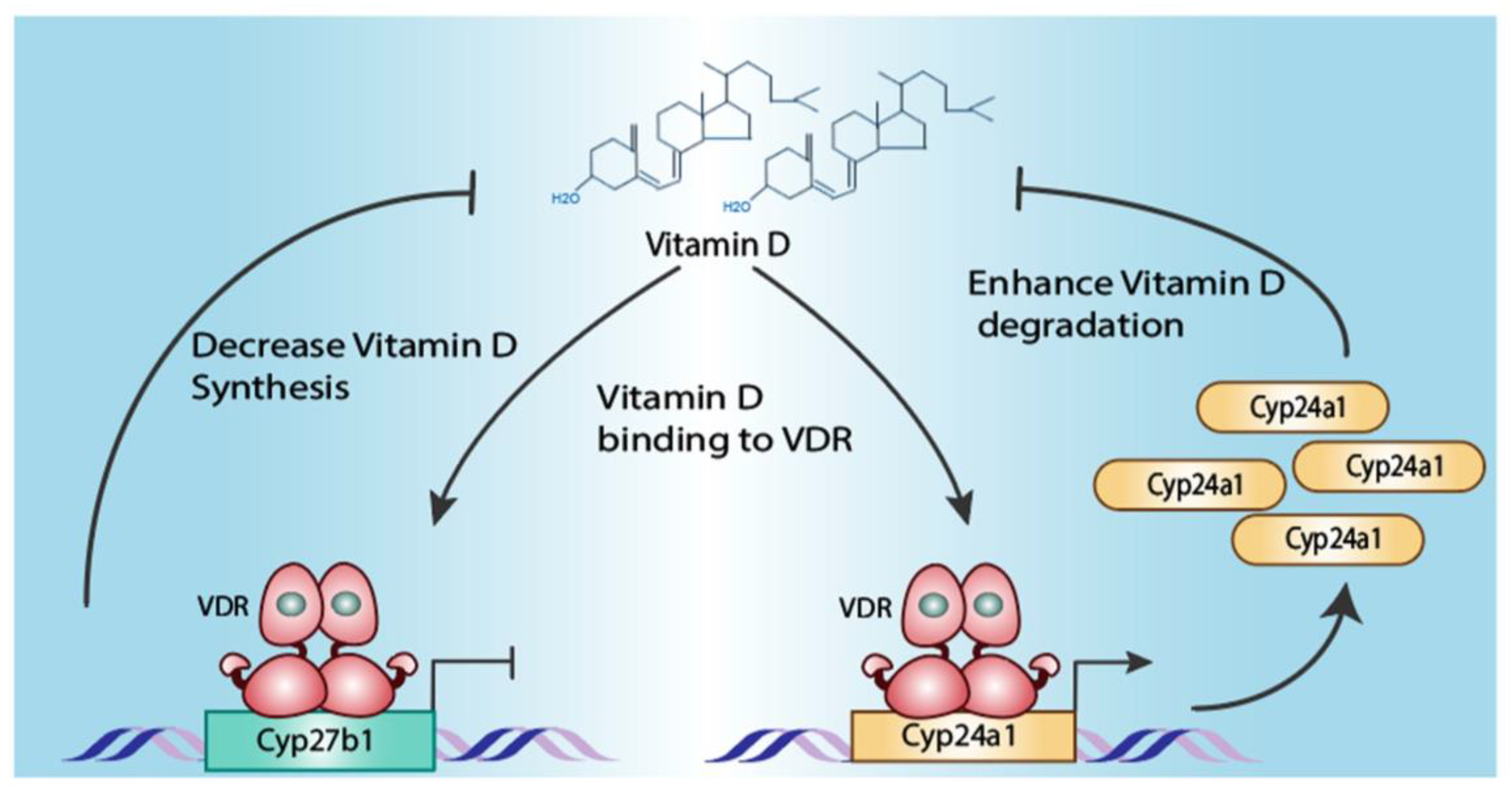 Cells 13 01284 g005 Cells 13 01284 g005
