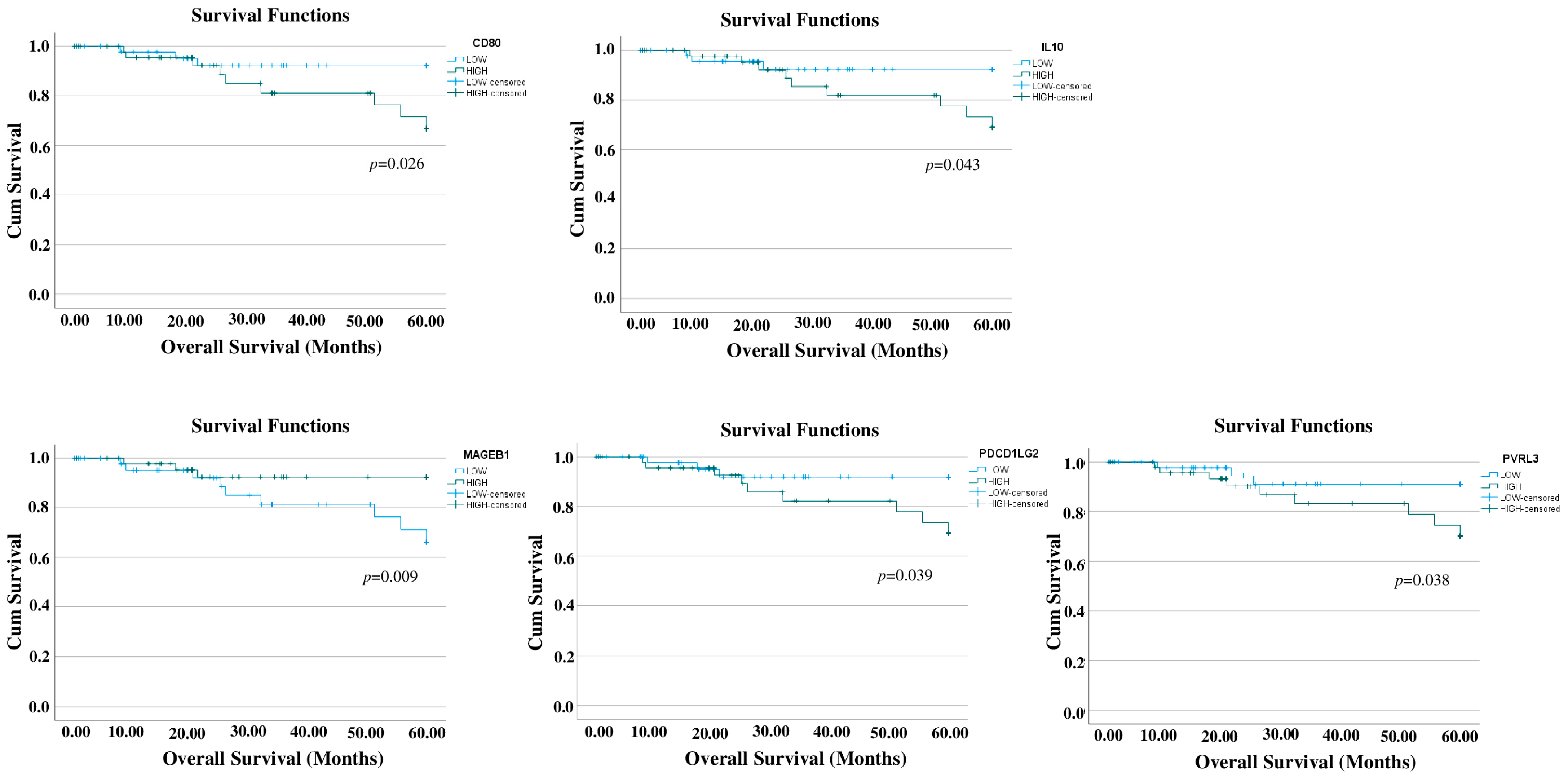 Cells 13 01299 g001 Cells 13 01299 g001