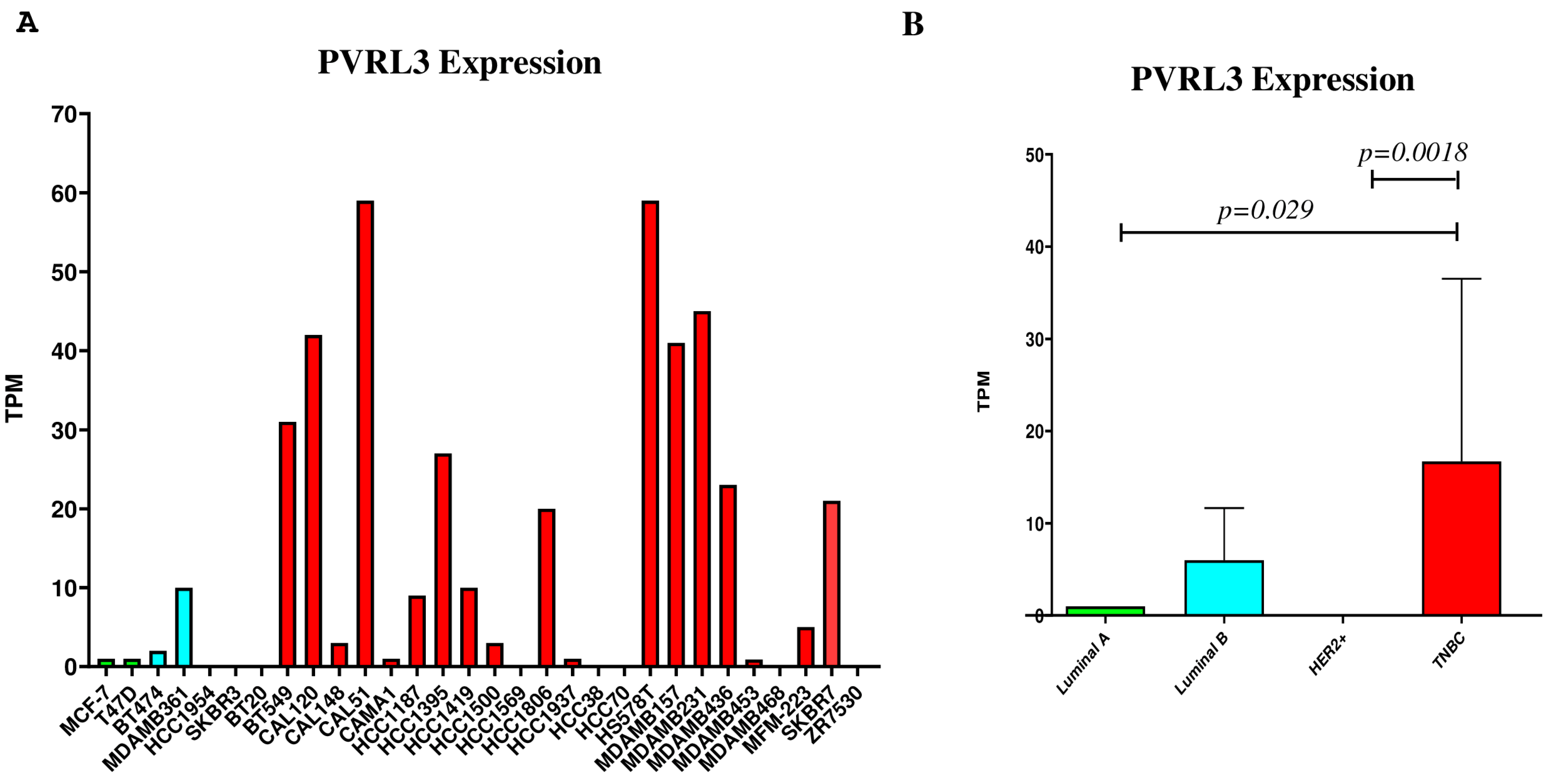 Cells 13 01299 g002 Cells 13 01299 g002