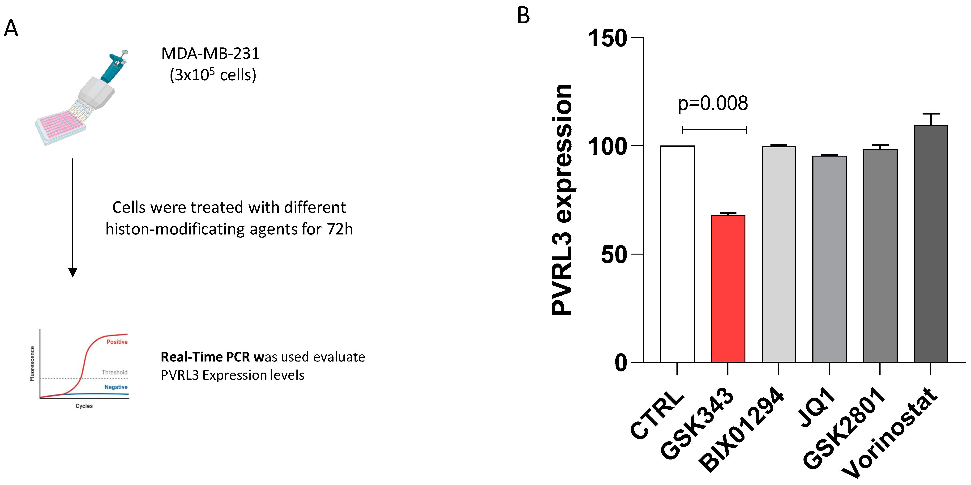 Cells 13 01299 g003 Cells 13 01299 g003