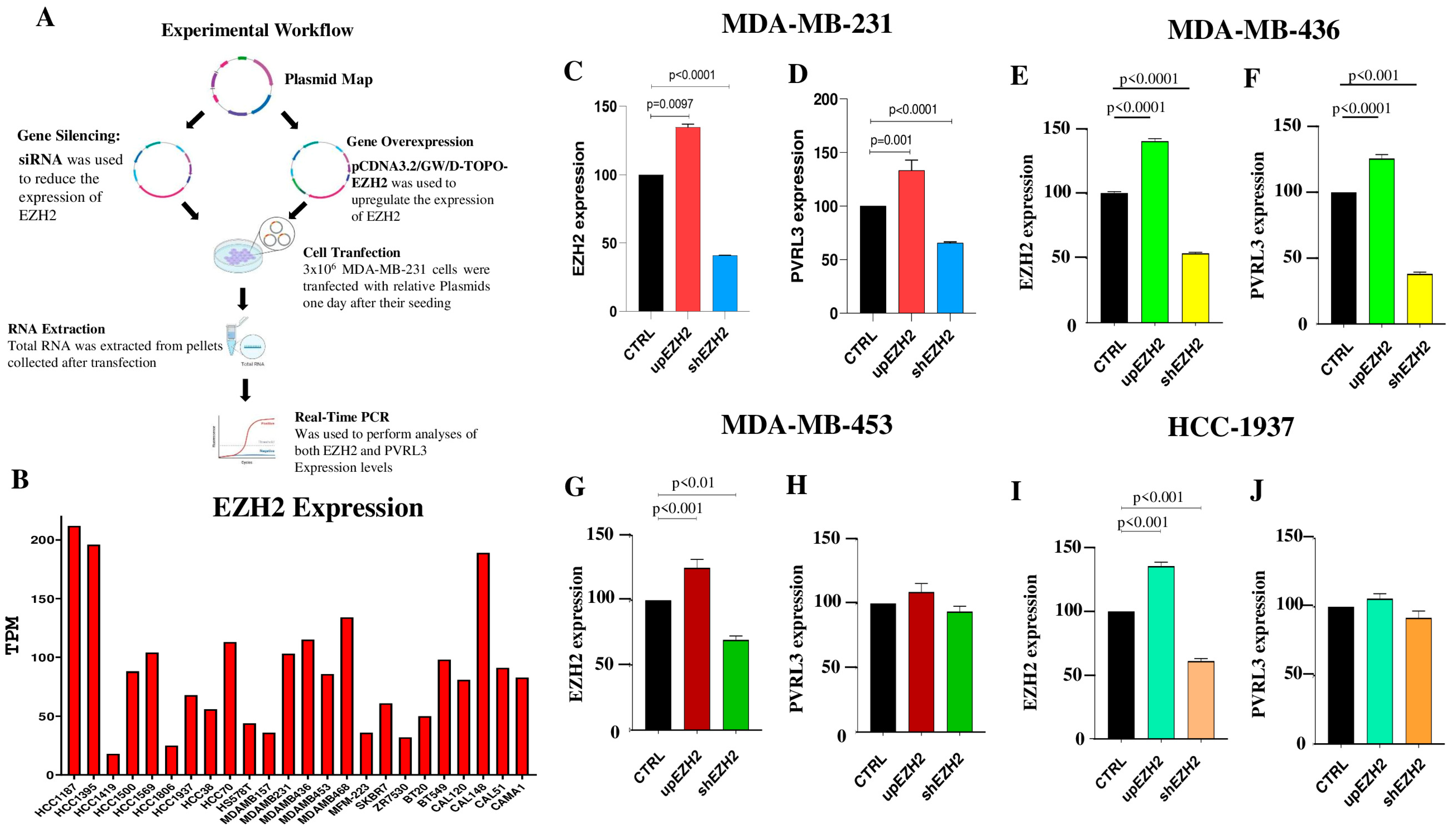 Cells 13 01299 g004 Cells 13 01299 g004