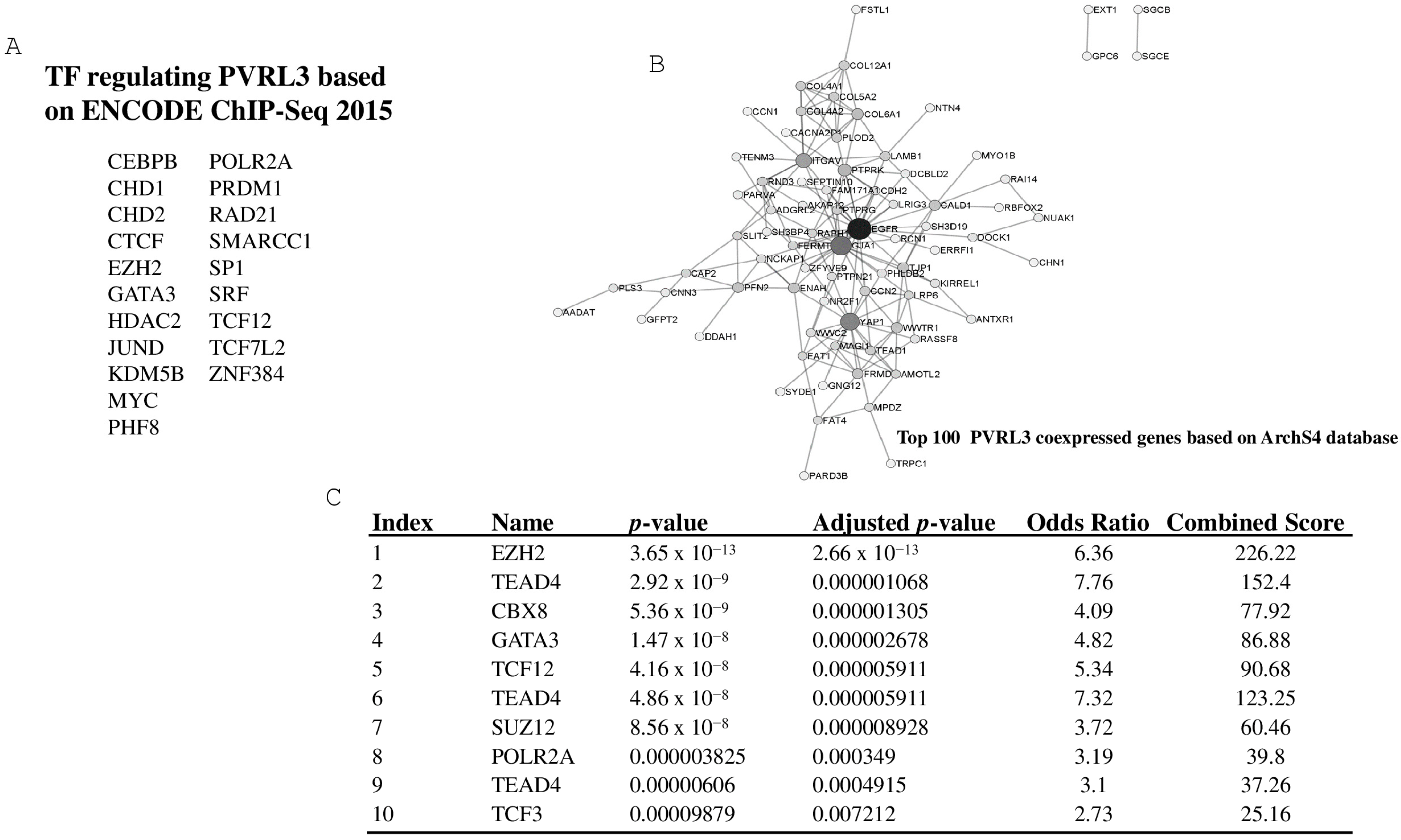 Cells 13 01299 g005 Cells 13 01299 g005