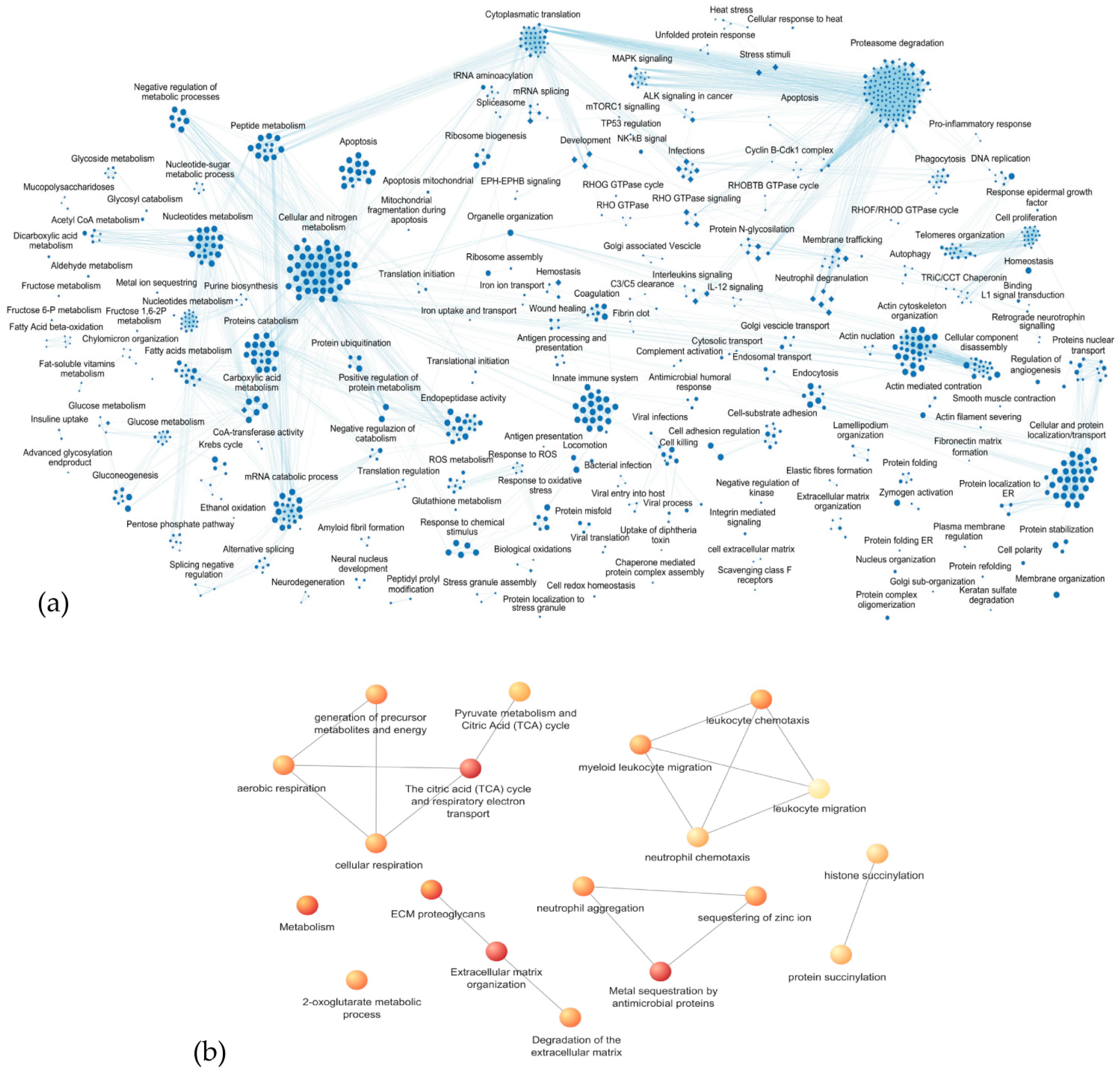 Cells 13 01311 g004 Cells 13 01311 g004