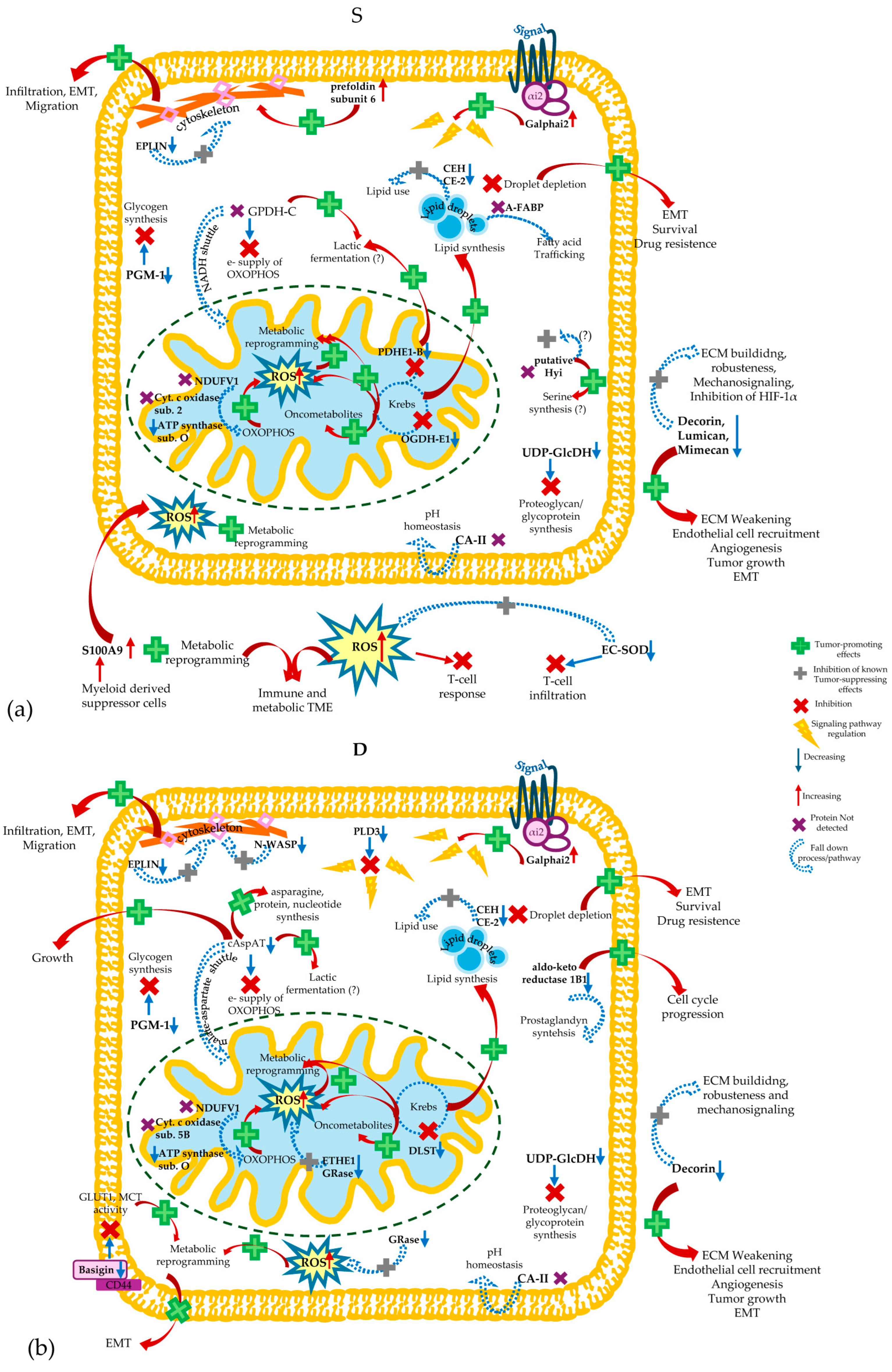 Cells 13 01311 g006 Cells 13 01311 g006