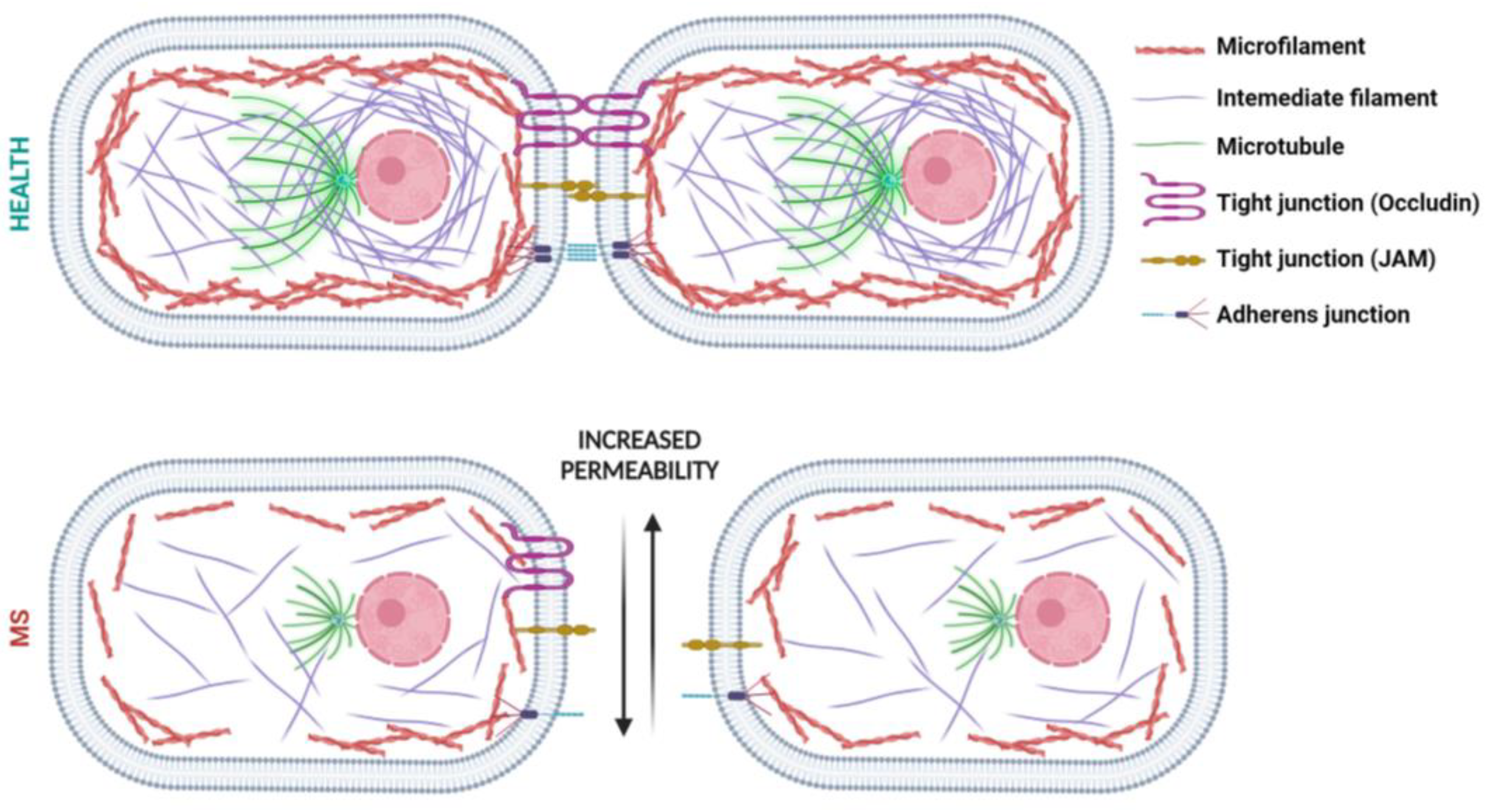 Cells 13 01316 g002 Cells 13 01316 g002