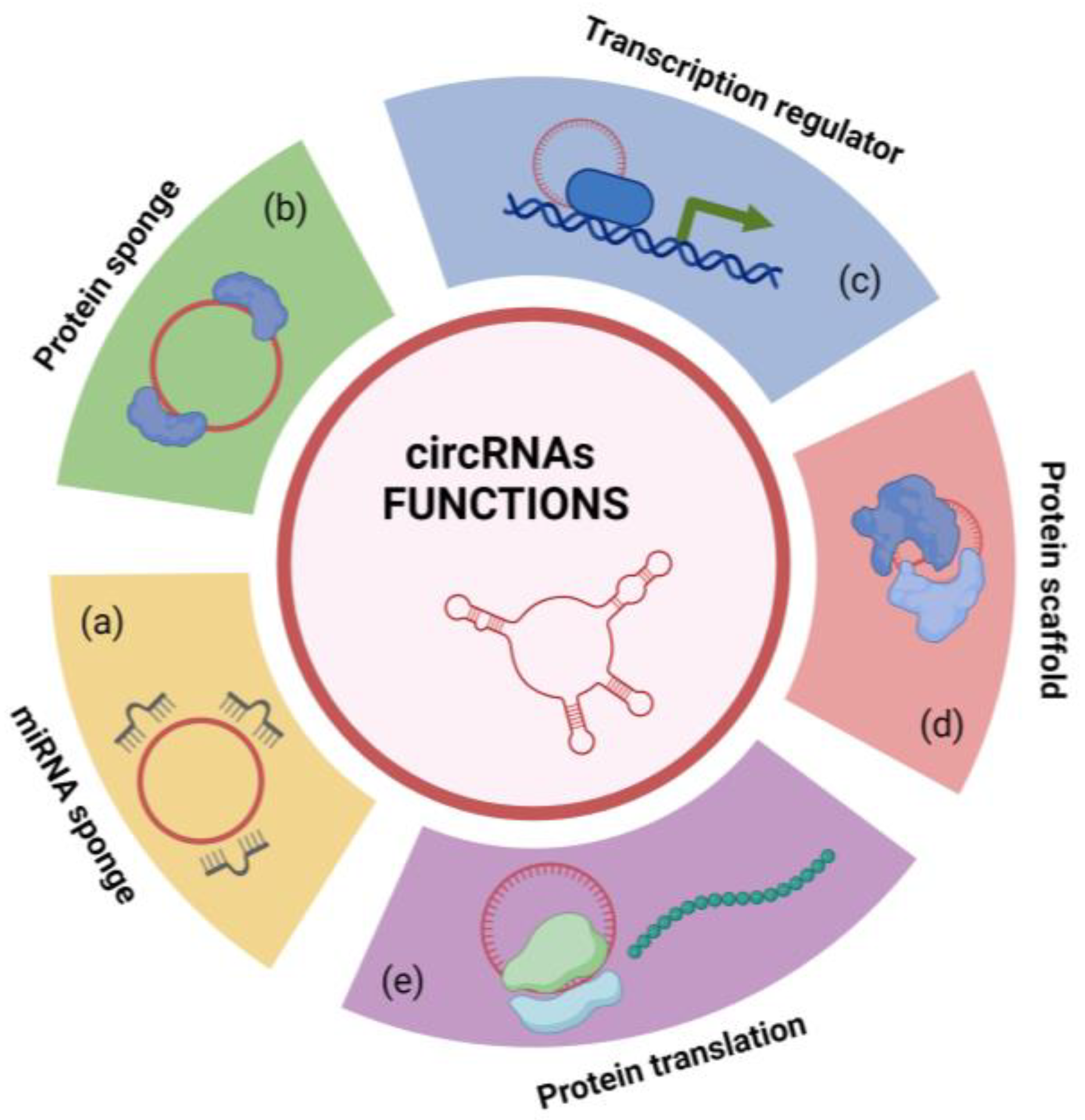 Cells 13 01316 g003 Cells 13 01316 g003