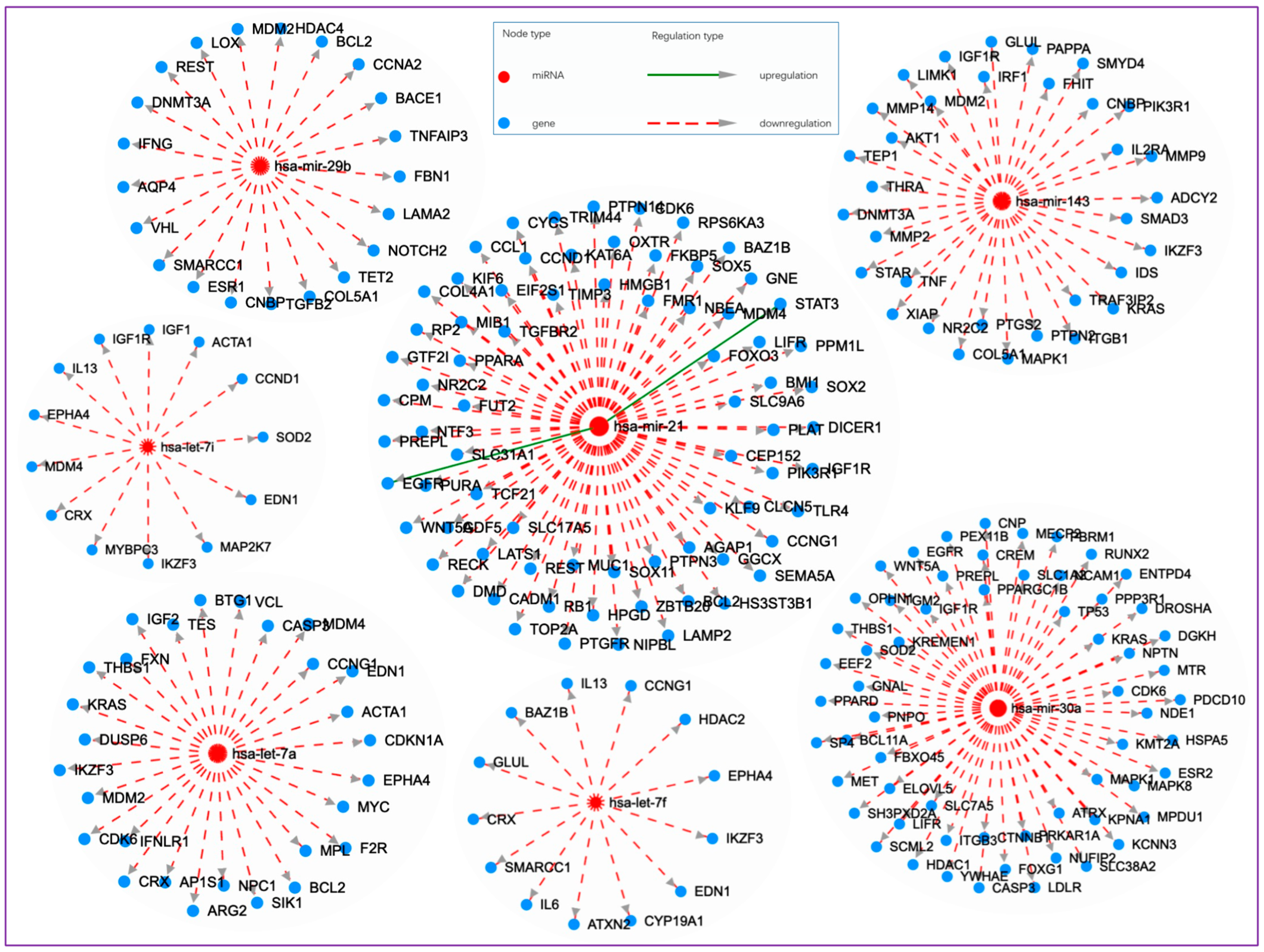 Cells 13 01330 g001 Cells 13 01330 g001