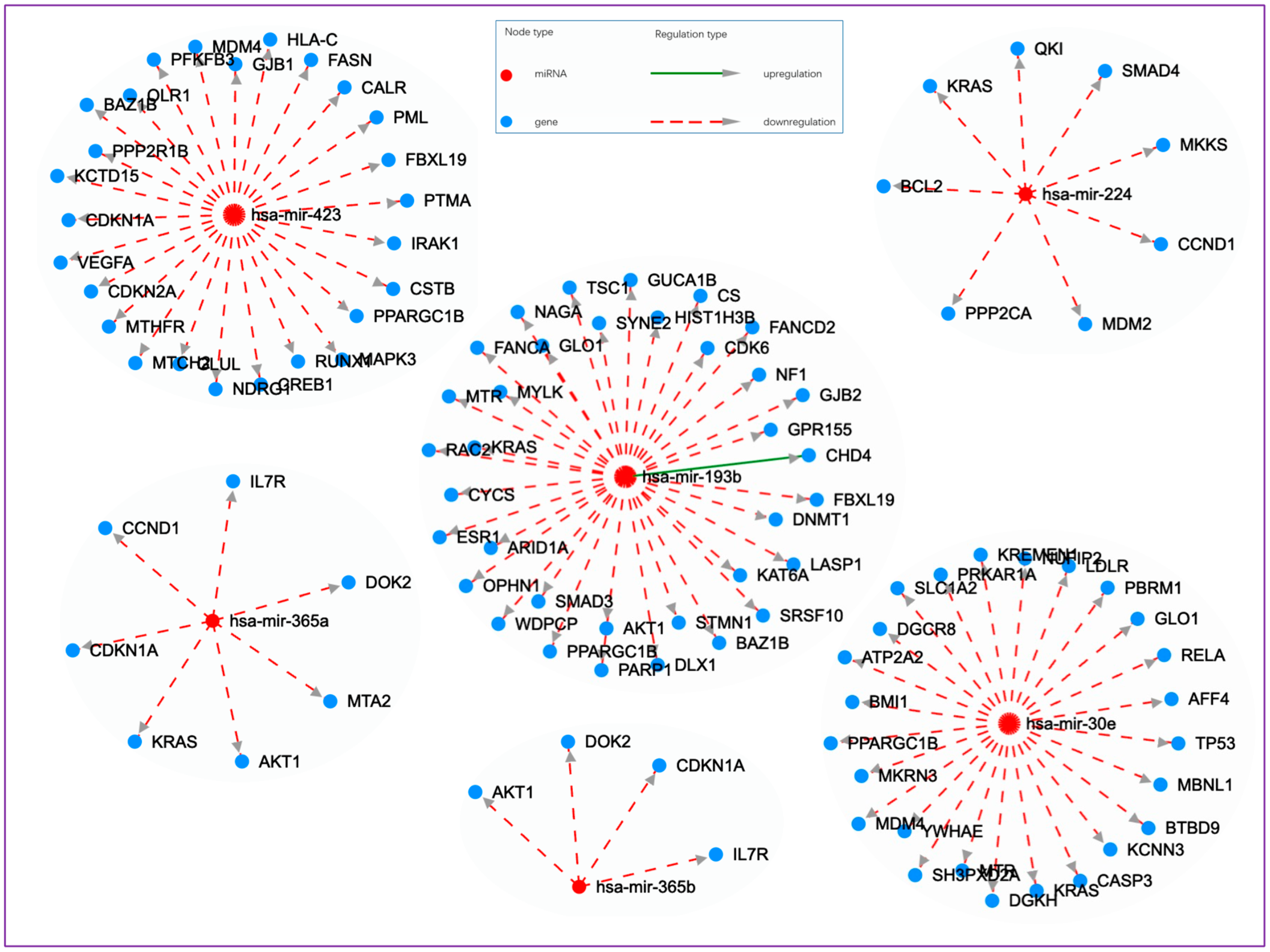 Cells 13 01330 g002 Cells 13 01330 g002